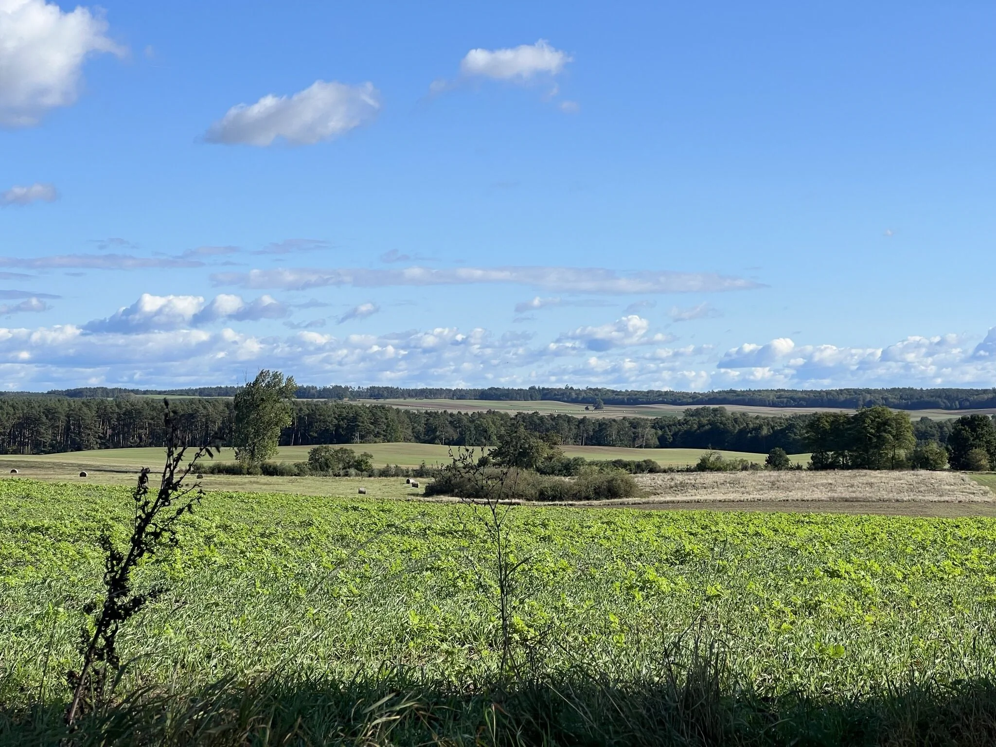Gospodarstwo Agroturystyczne Kraina Choszcza – Choszczno, Polska