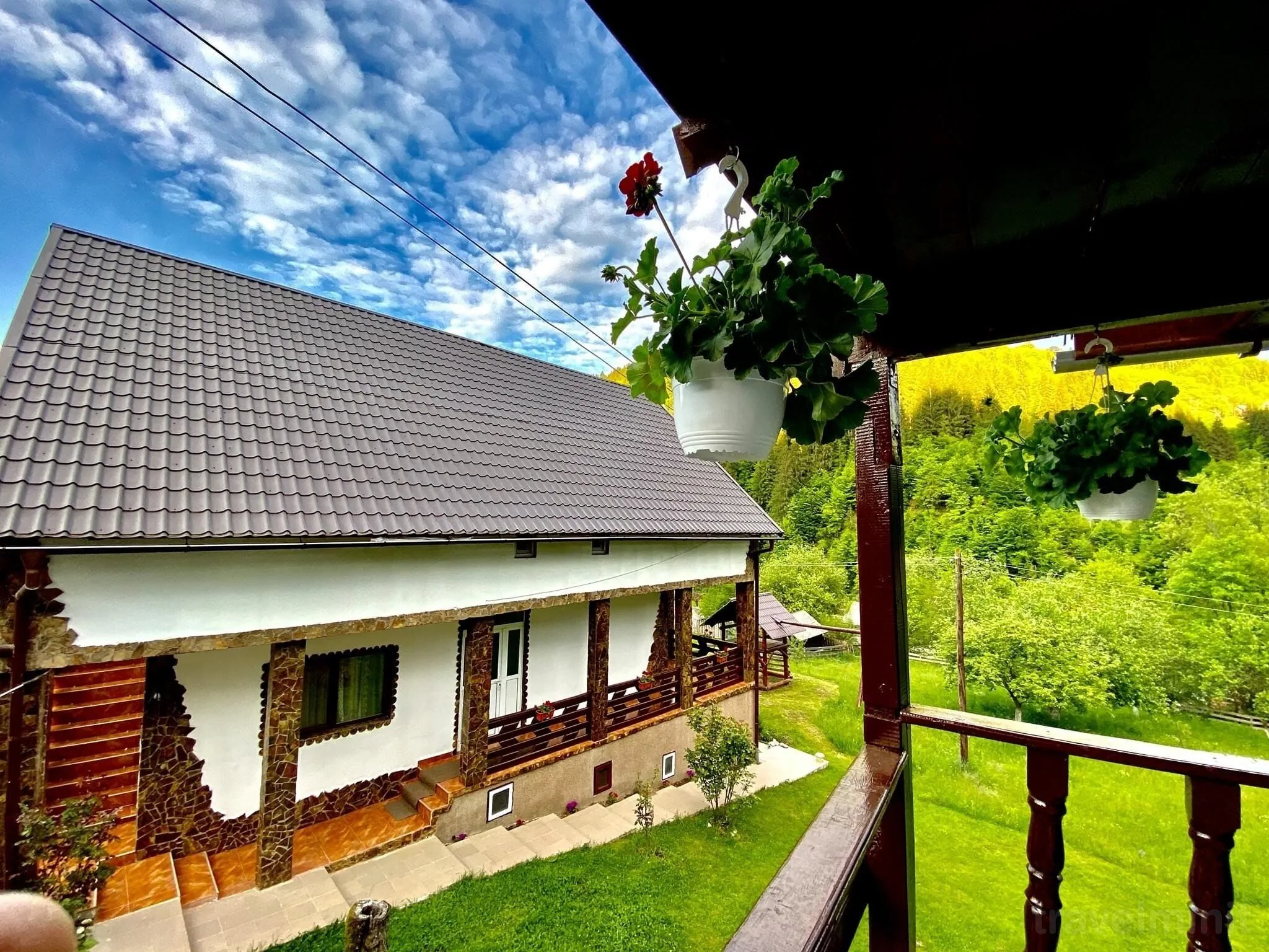 Pensiunea Andra Albac – Albac, România