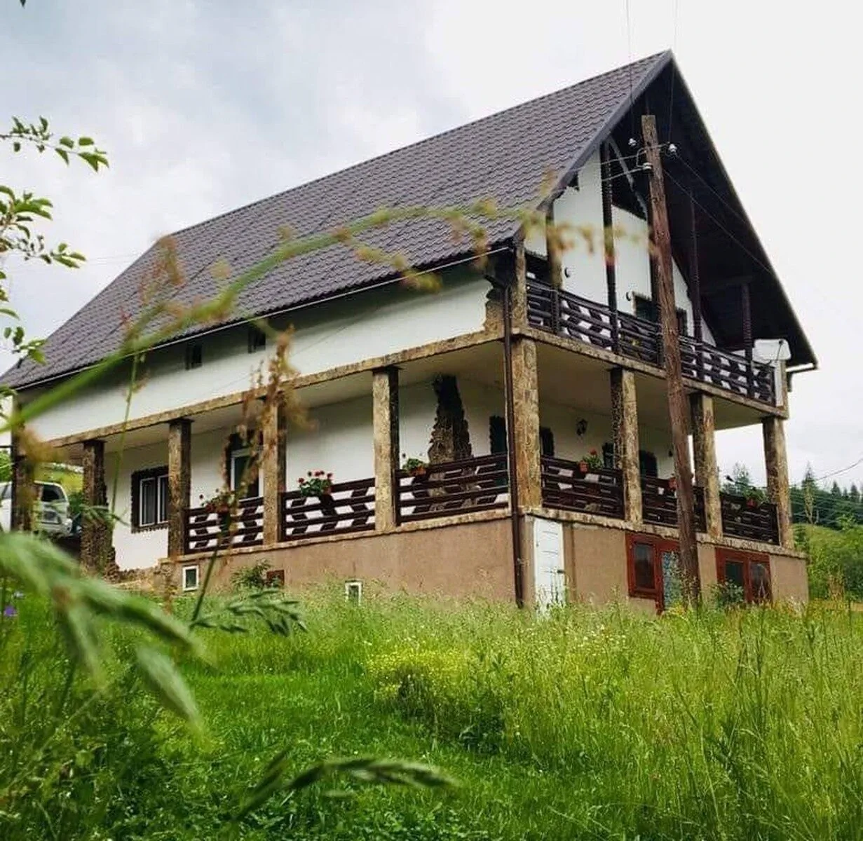 Pensiunea Andra Albac – Albac, România