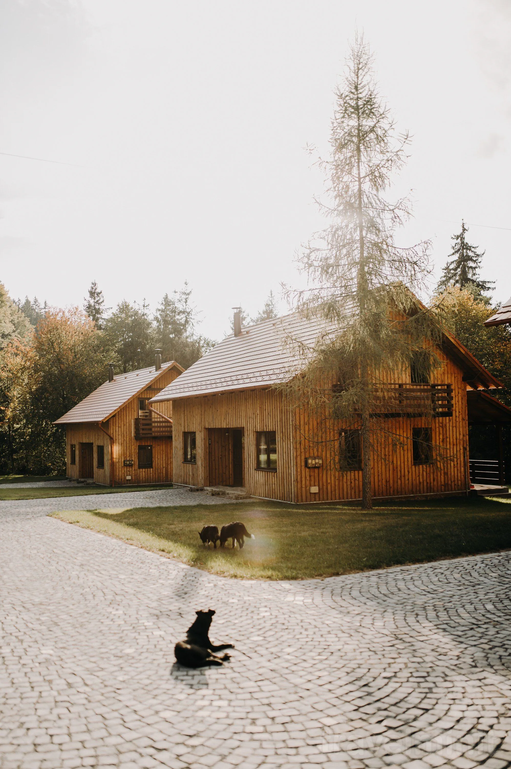 Cabana Turul Izvoare – Izvoare, România