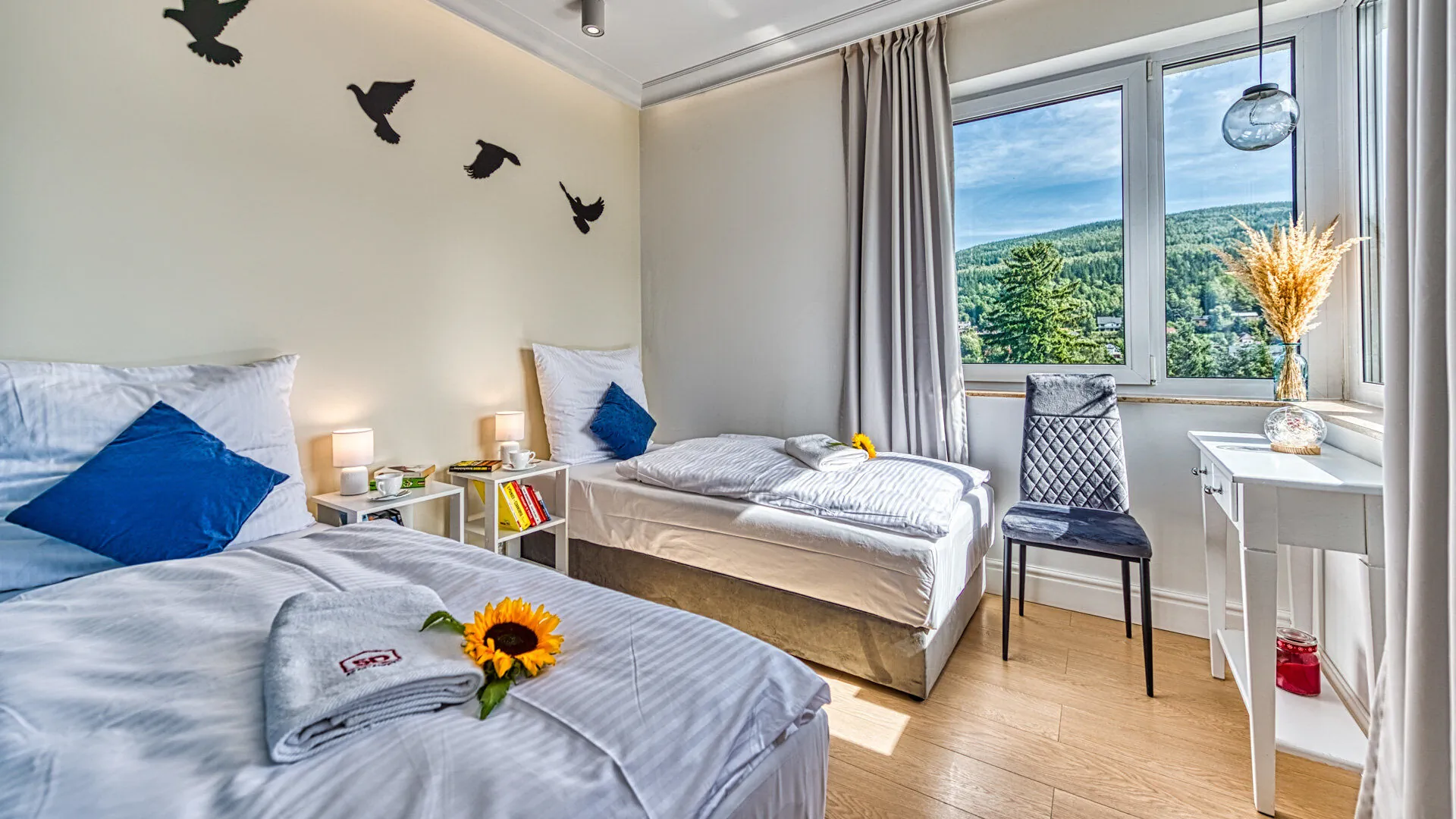 Apartament BlueSky  - 5D Apartamenty Świeradów-Zdrój – Świeradów-Zdrój, Polska