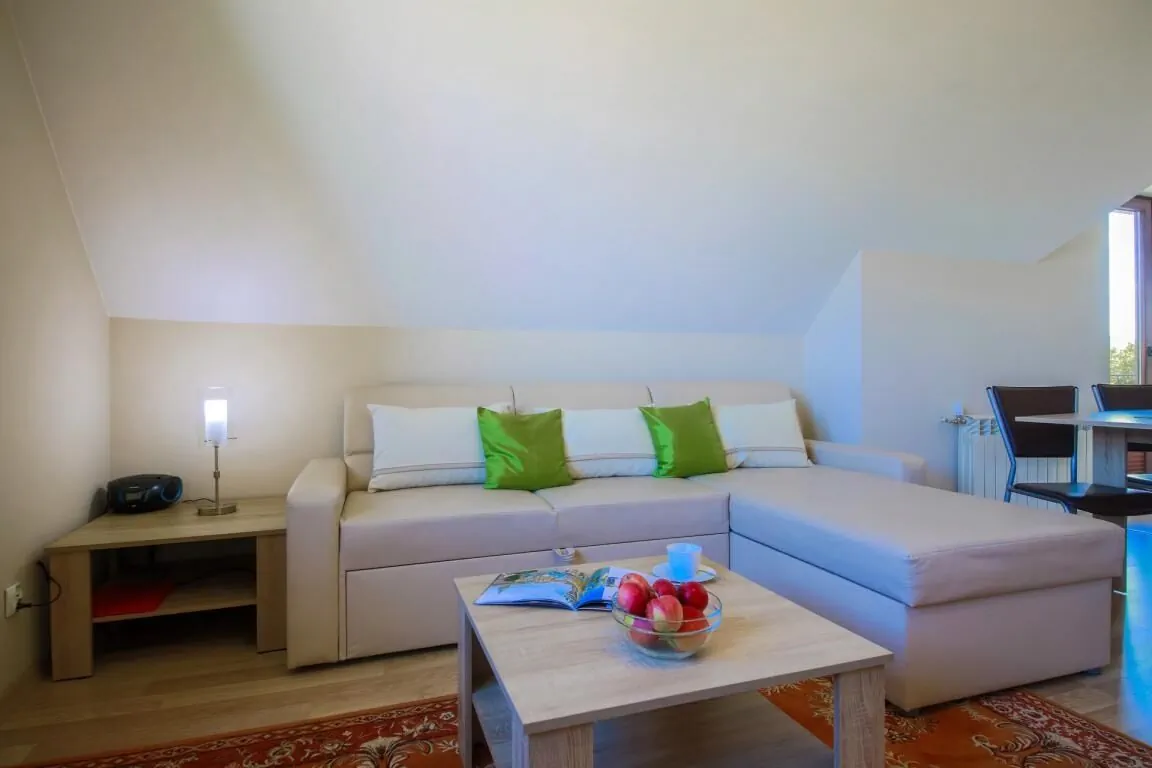 Villa Aviator Jaworze – Jaworze, Polsko