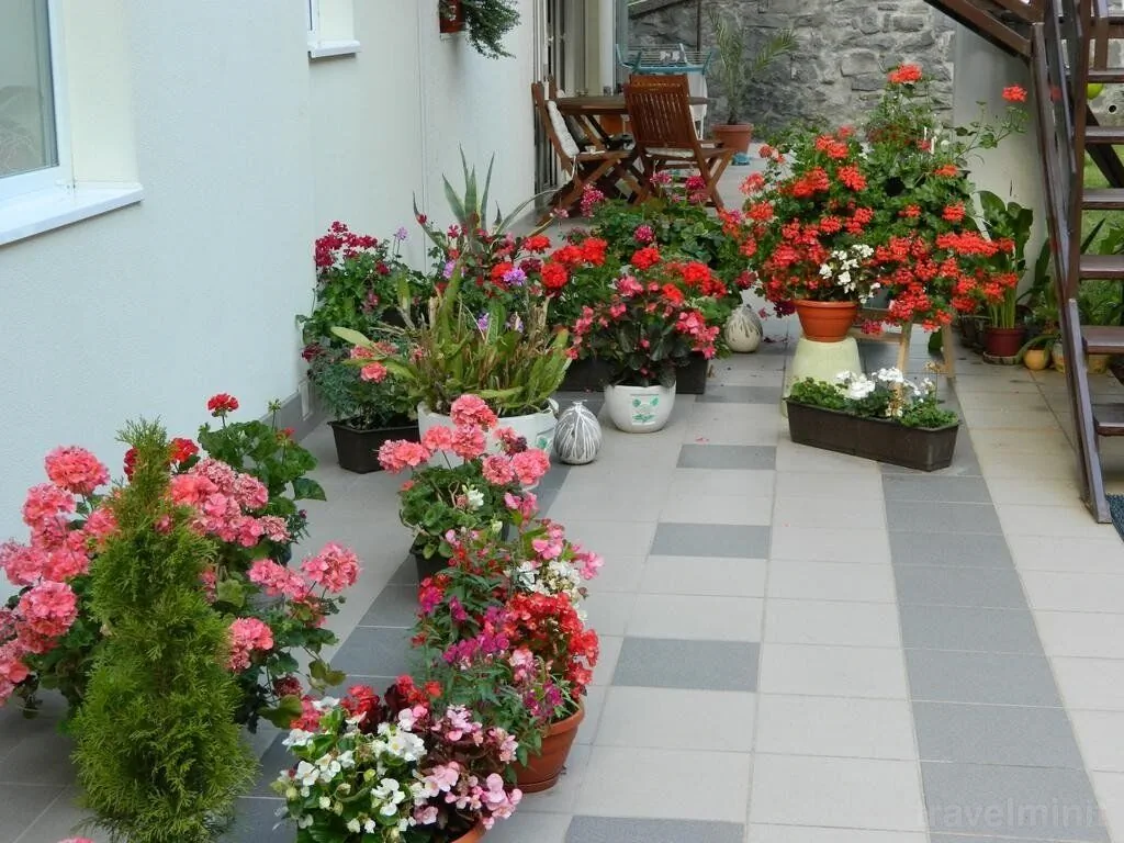 Casa Anette Sovata – Sovata, România