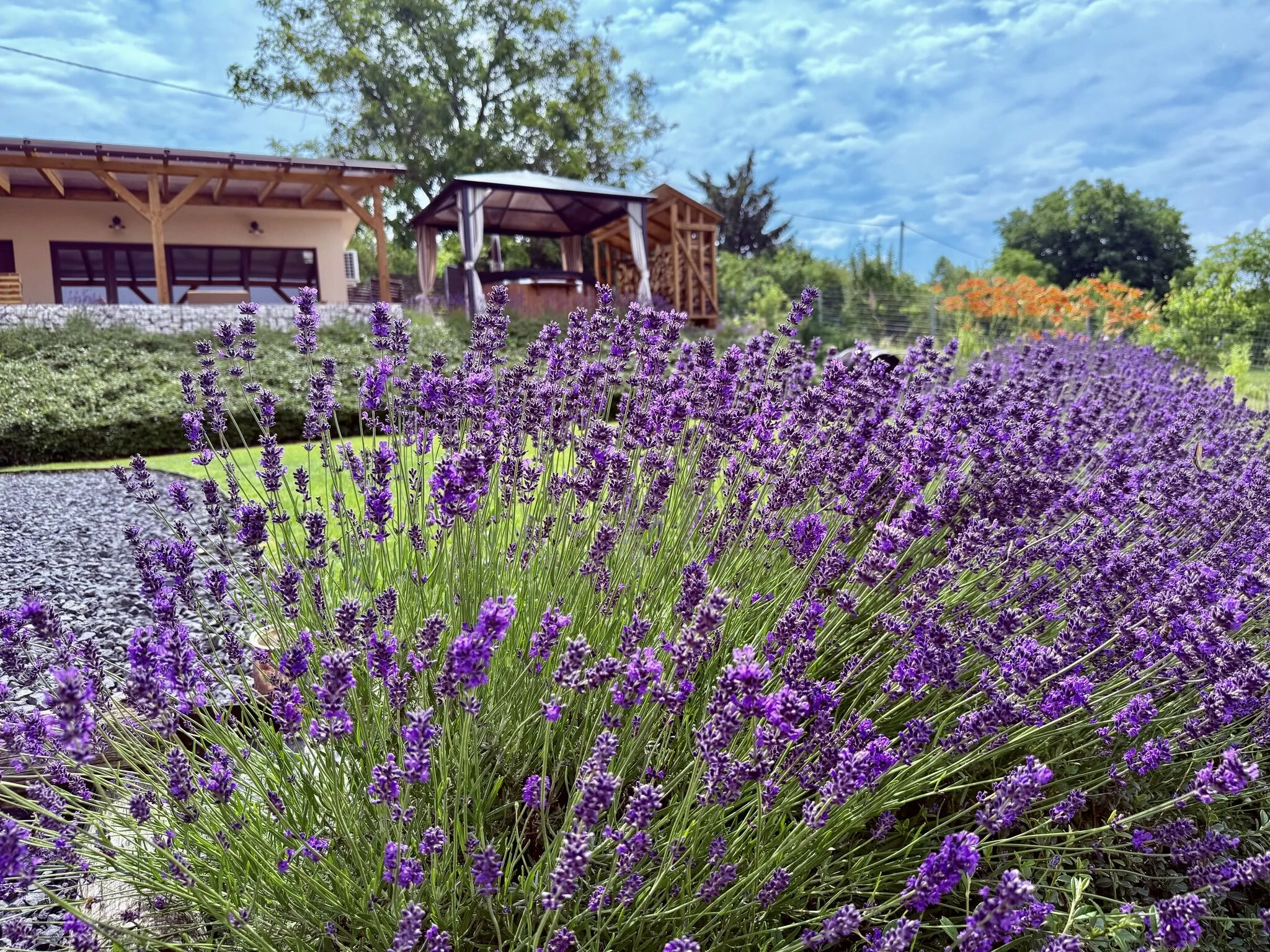 Akar-Lak Vendégház Ajka – Ajka, Ungaria