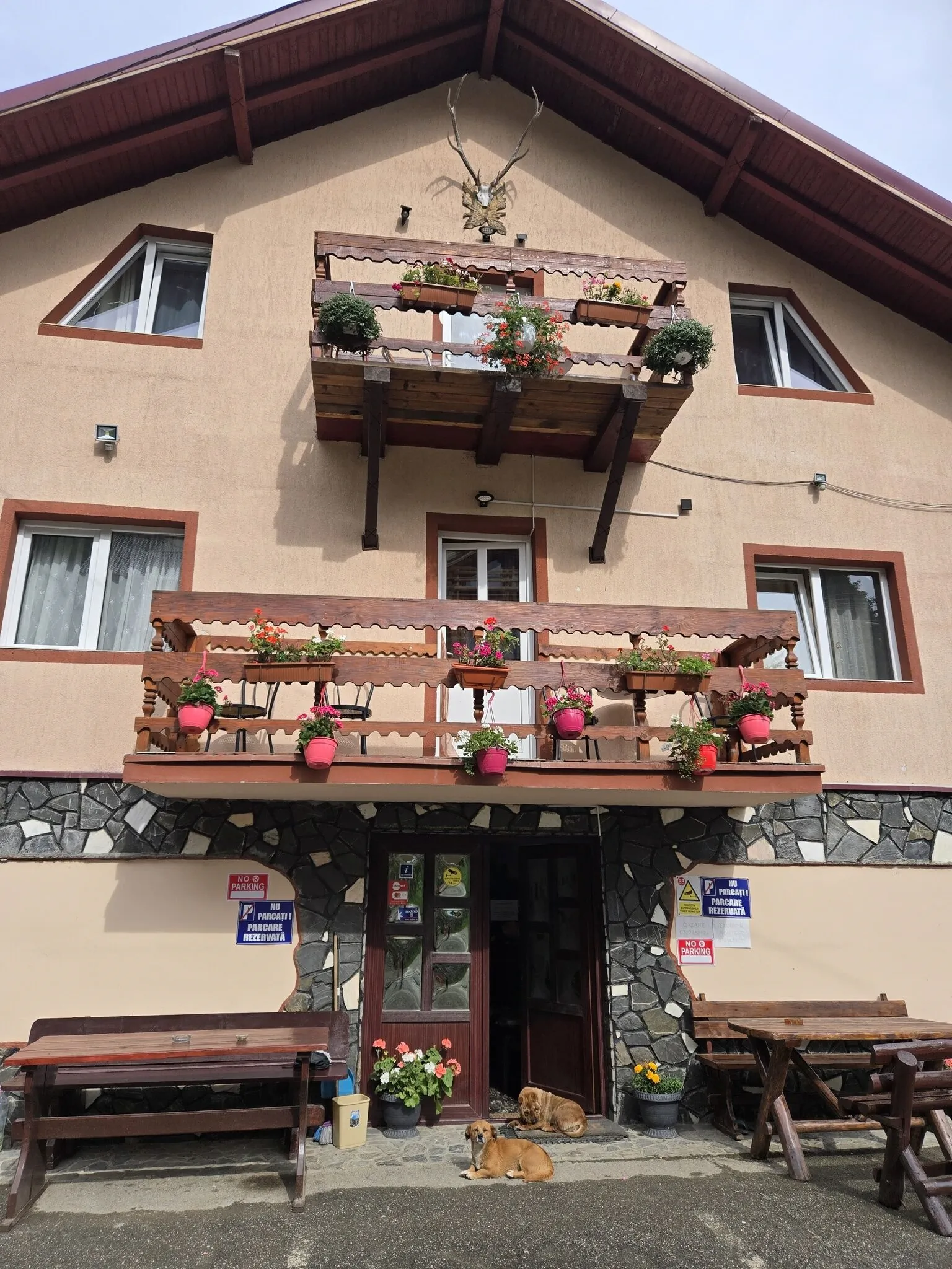 Vila Două Minuni Bușteni – Buşteni, Rumunia