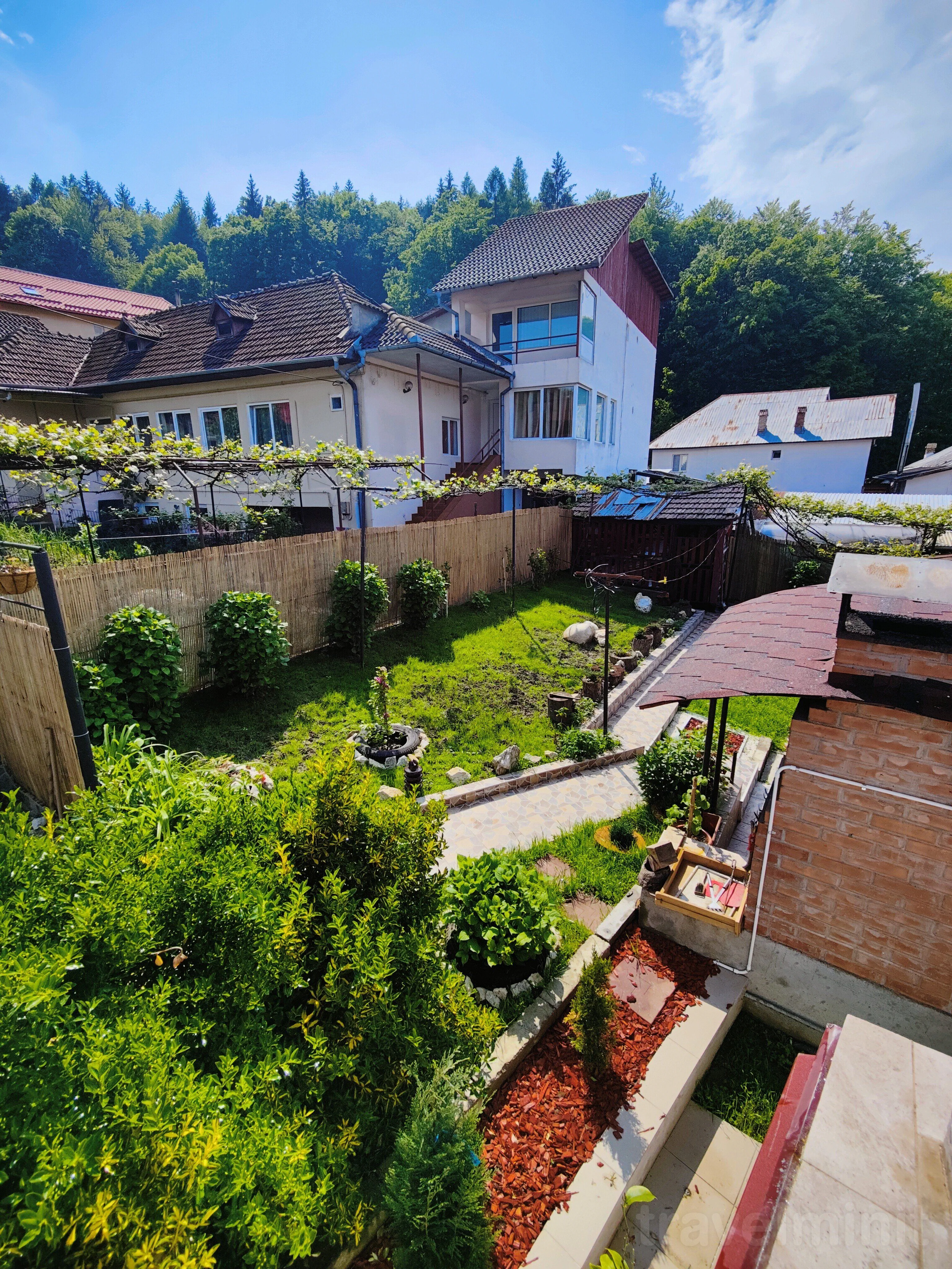 Casa Bebe Băile Olănești - foto 7