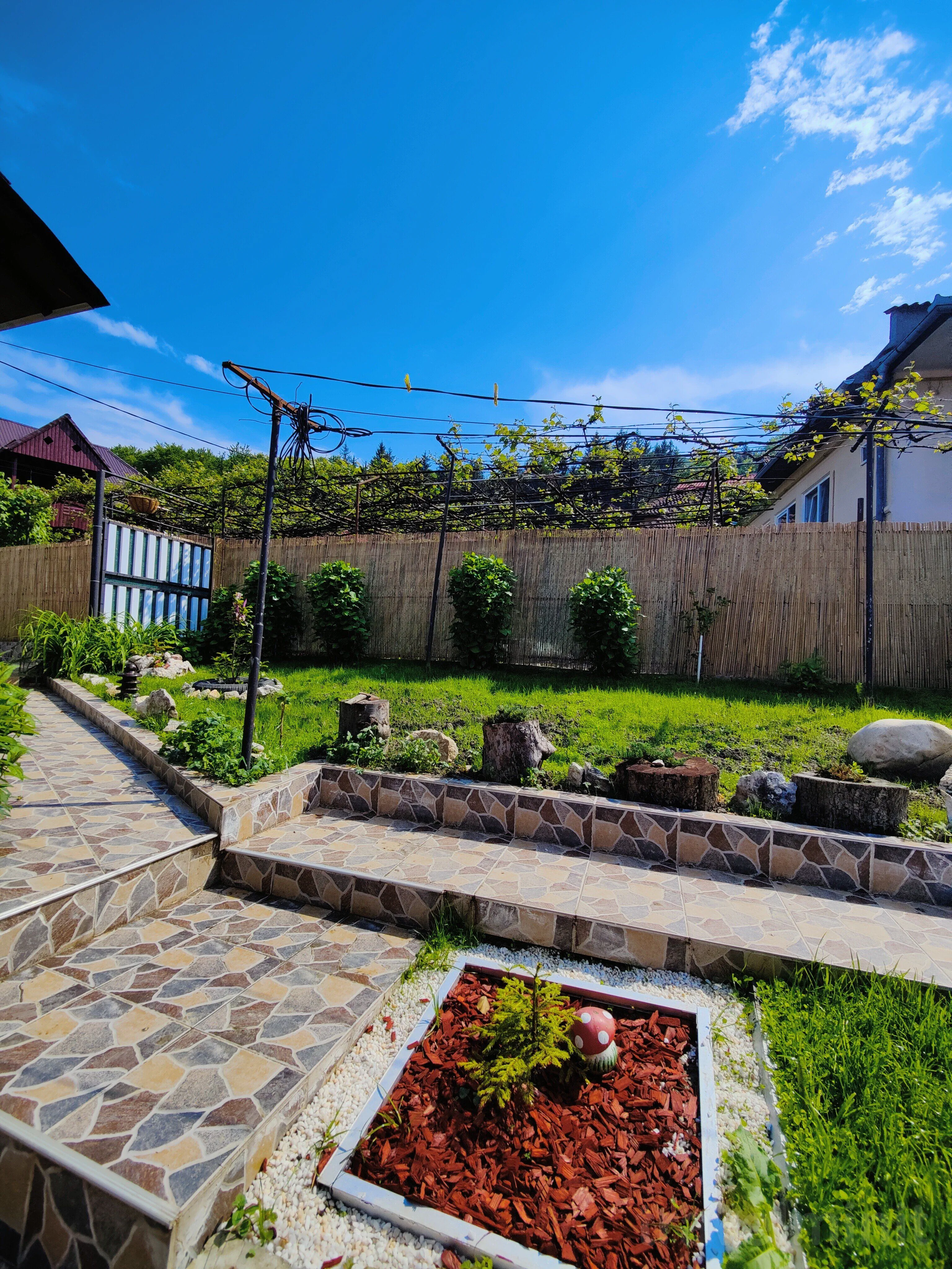 Casa Bebe Băile Olănești - foto 8