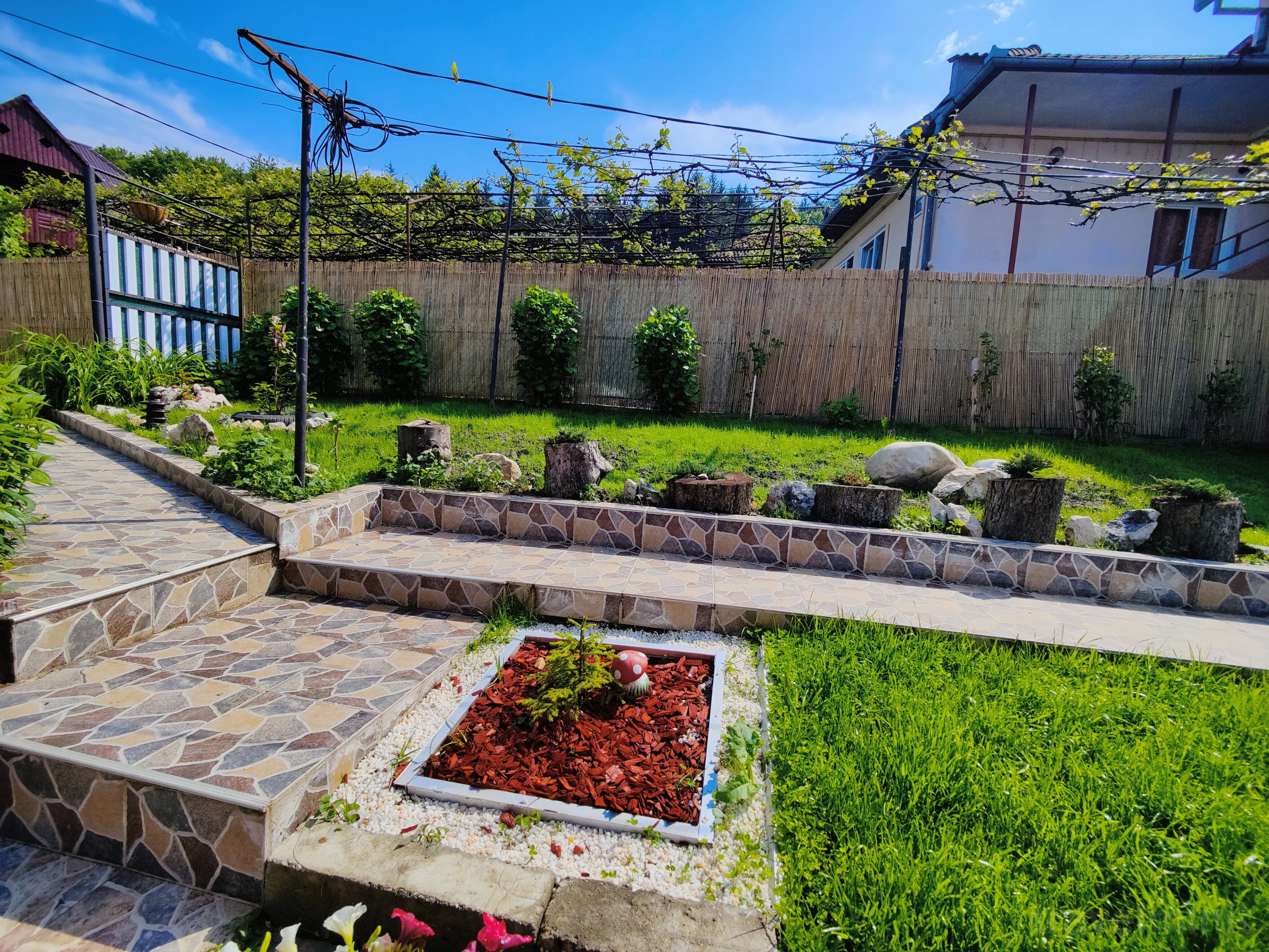 Casa Bebe Băile Olănești - foto 9