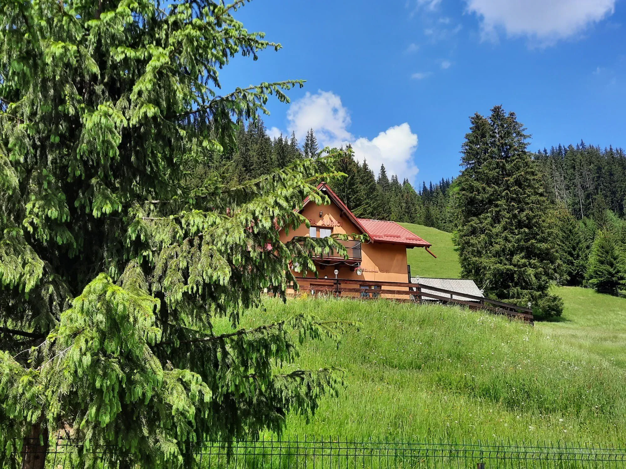 Casa Aurici Vatra Dornei – Vatra Dornei, România