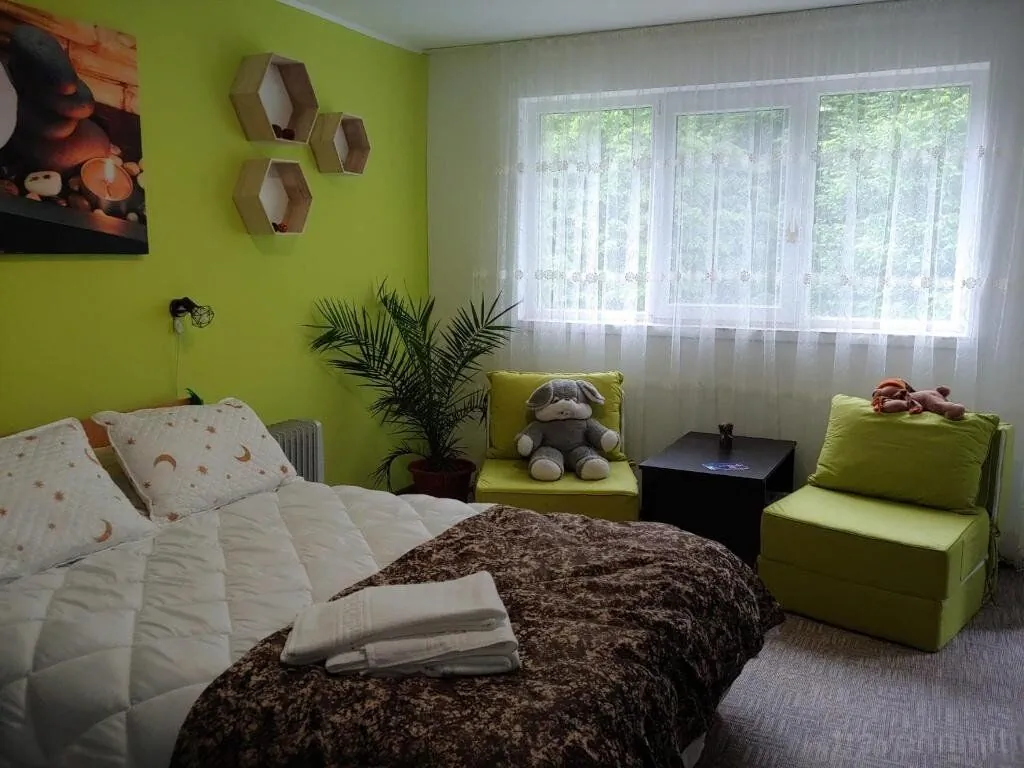 Casa Elena Brădetu - foto 1