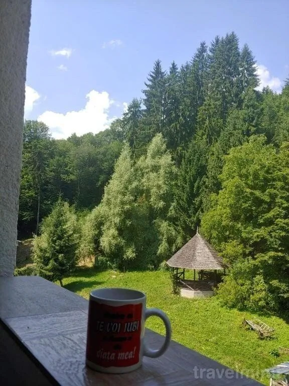 Casa Elena Brădetu - foto 6