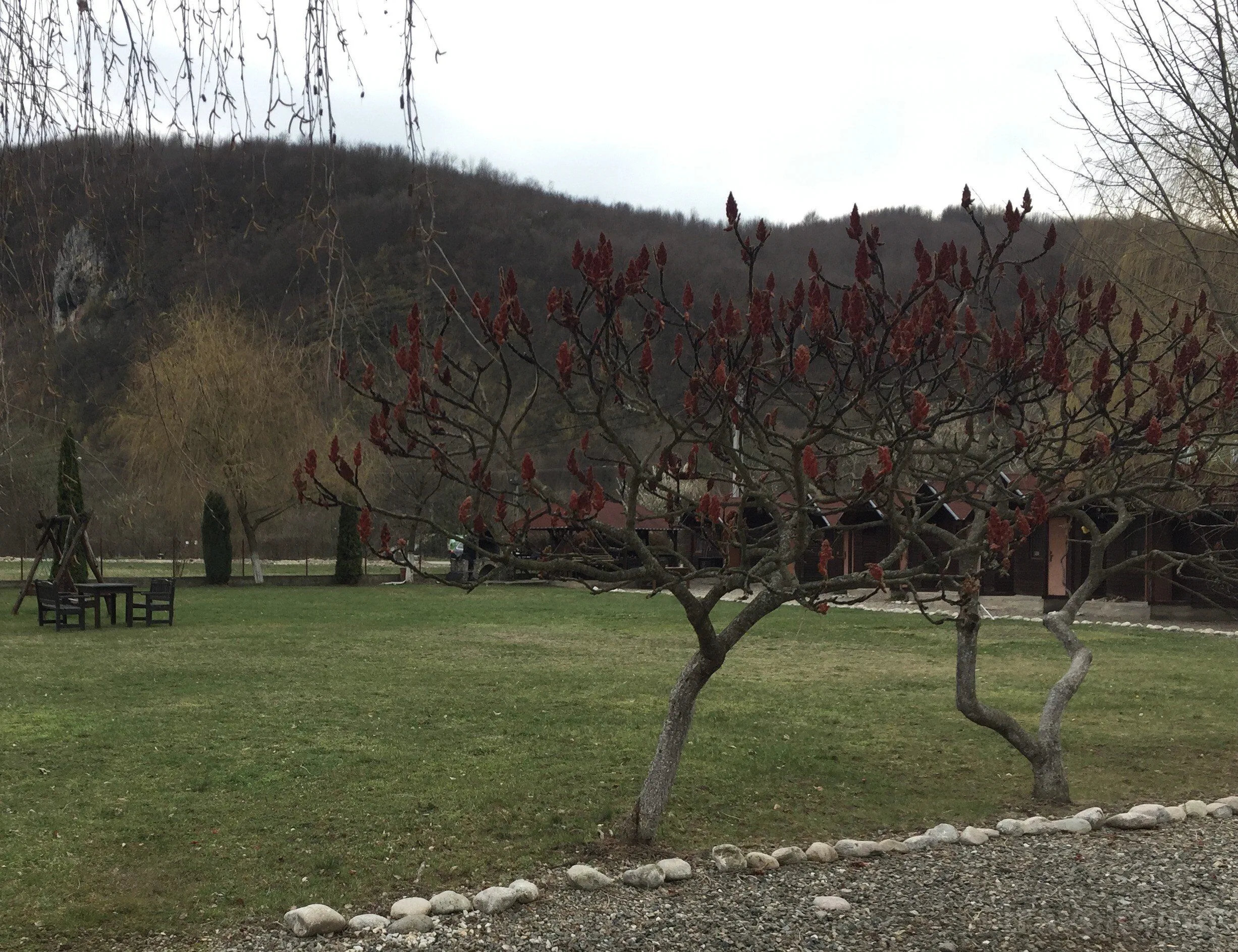 Rafting & Via Ferrata Base Camp Vadu Crișului – Vadu Crişului, România
