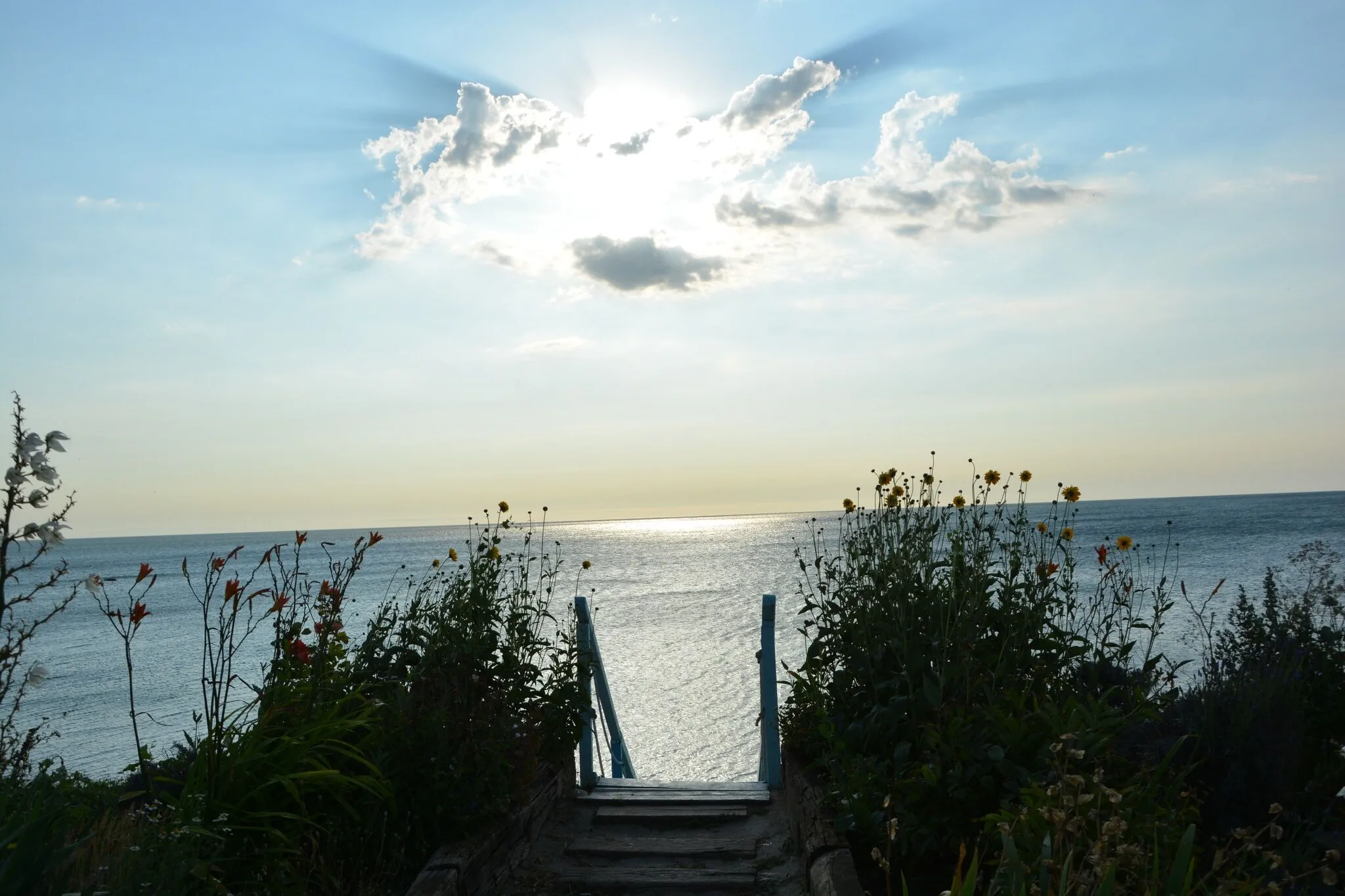 Vila Azaleea Vama Veche – Vama Veche, Rumunsko
