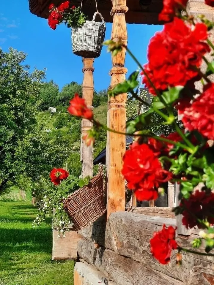 Căsuța Tradițională Vadu Izei – Vadu Izei, România