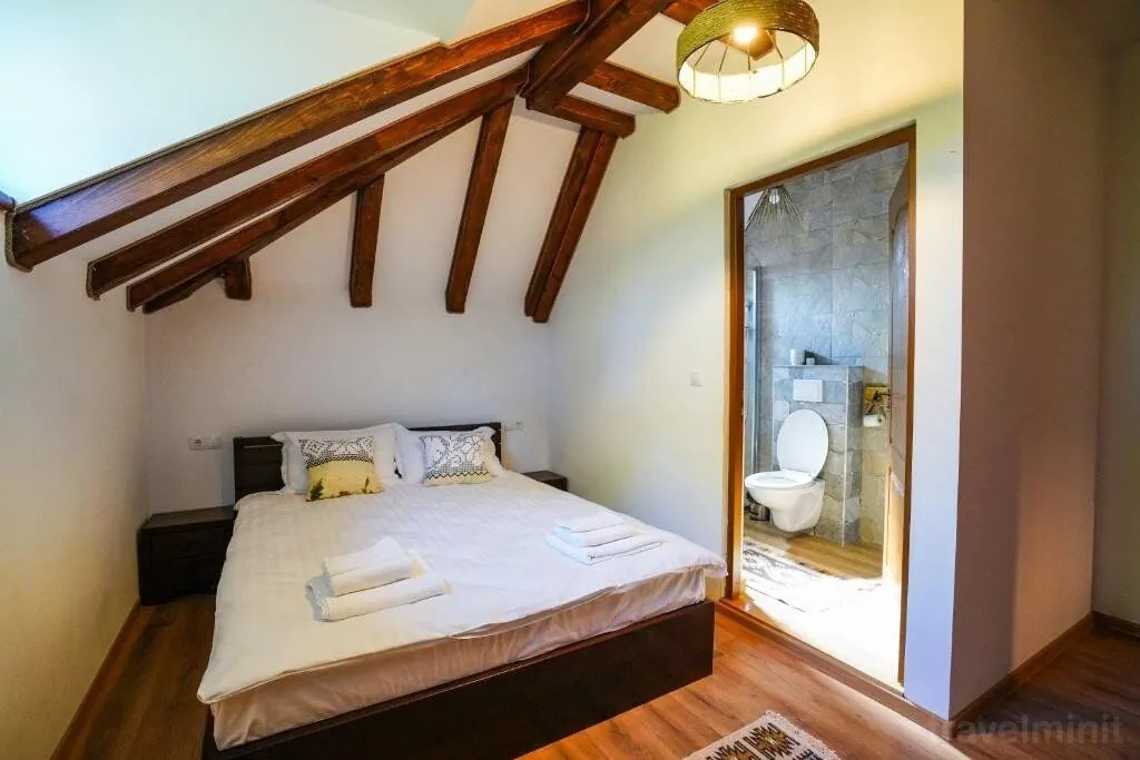 Casa Moroșanului Vișeu de Sus – Vişeu de Sus, România