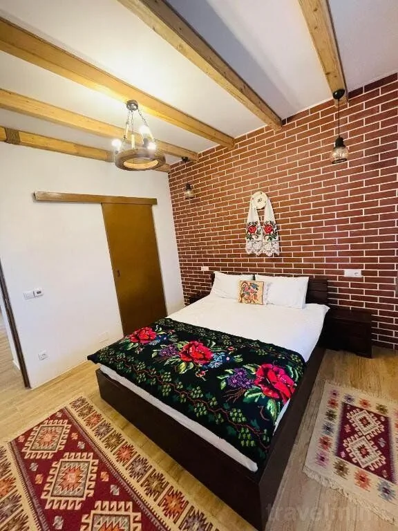 Casa Moroșanului Vișeu de Sus – Vişeu de Sus, România