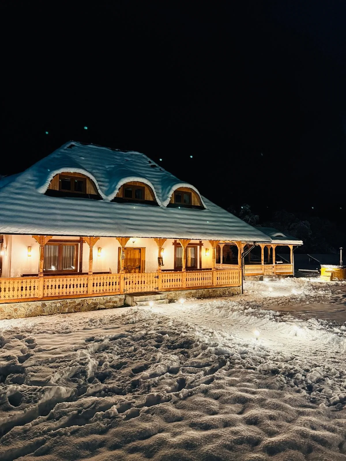 Casa Moroșanului Vișeu de Sus – Vişeu de Sus, România