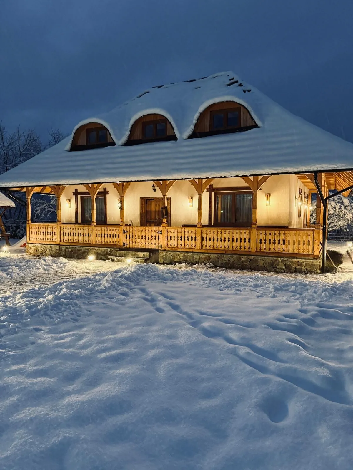 Casa Moroșanului Vișeu de Sus – Vişeu de Sus, România