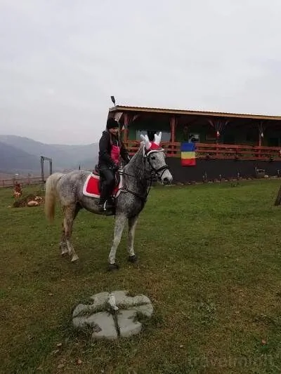 Dara's Camping Prod – Prod, Rumunsko