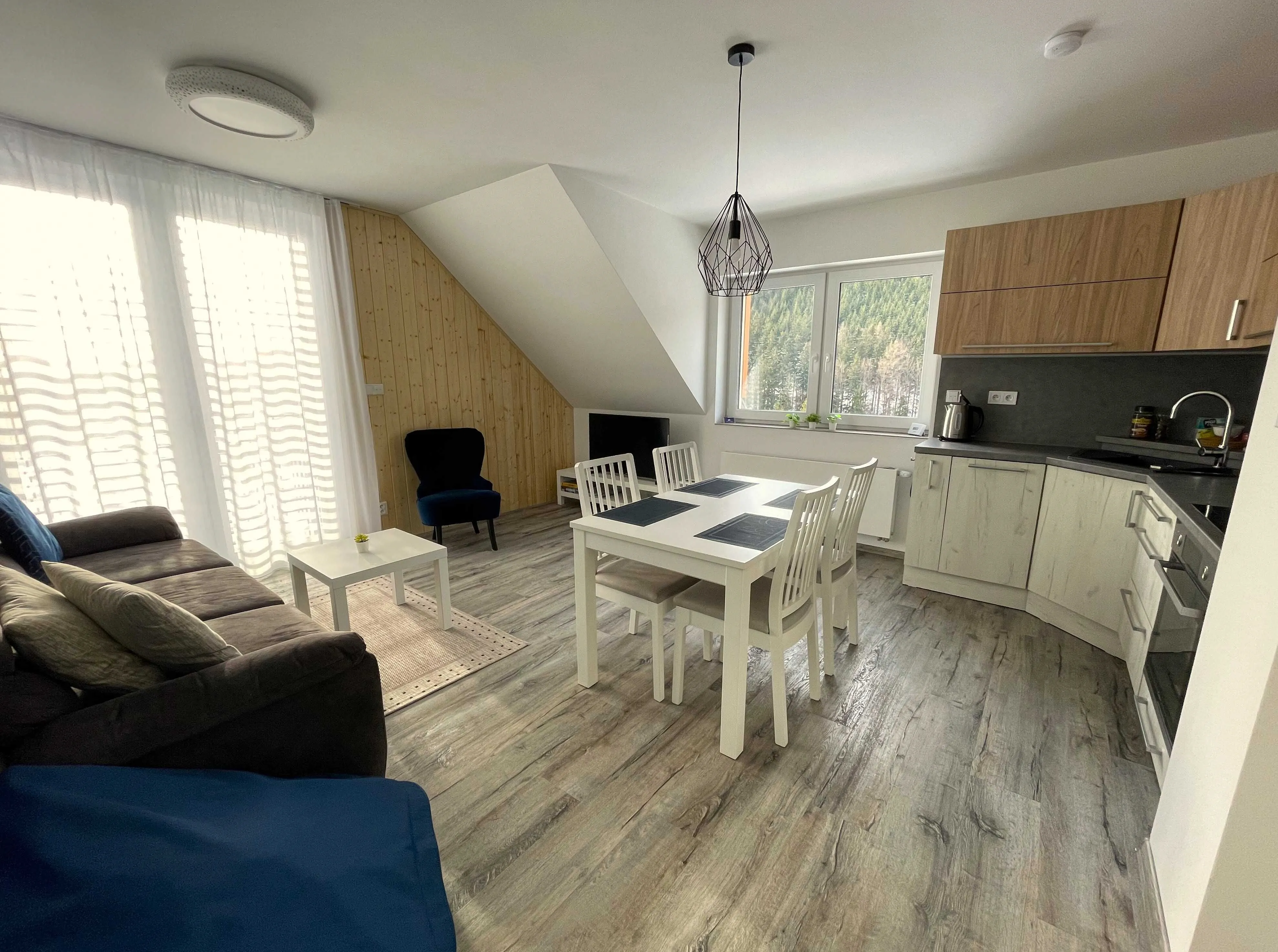 Apartmán Pod Mamutem Dolní Morava – Dolní Morava, Česká republika