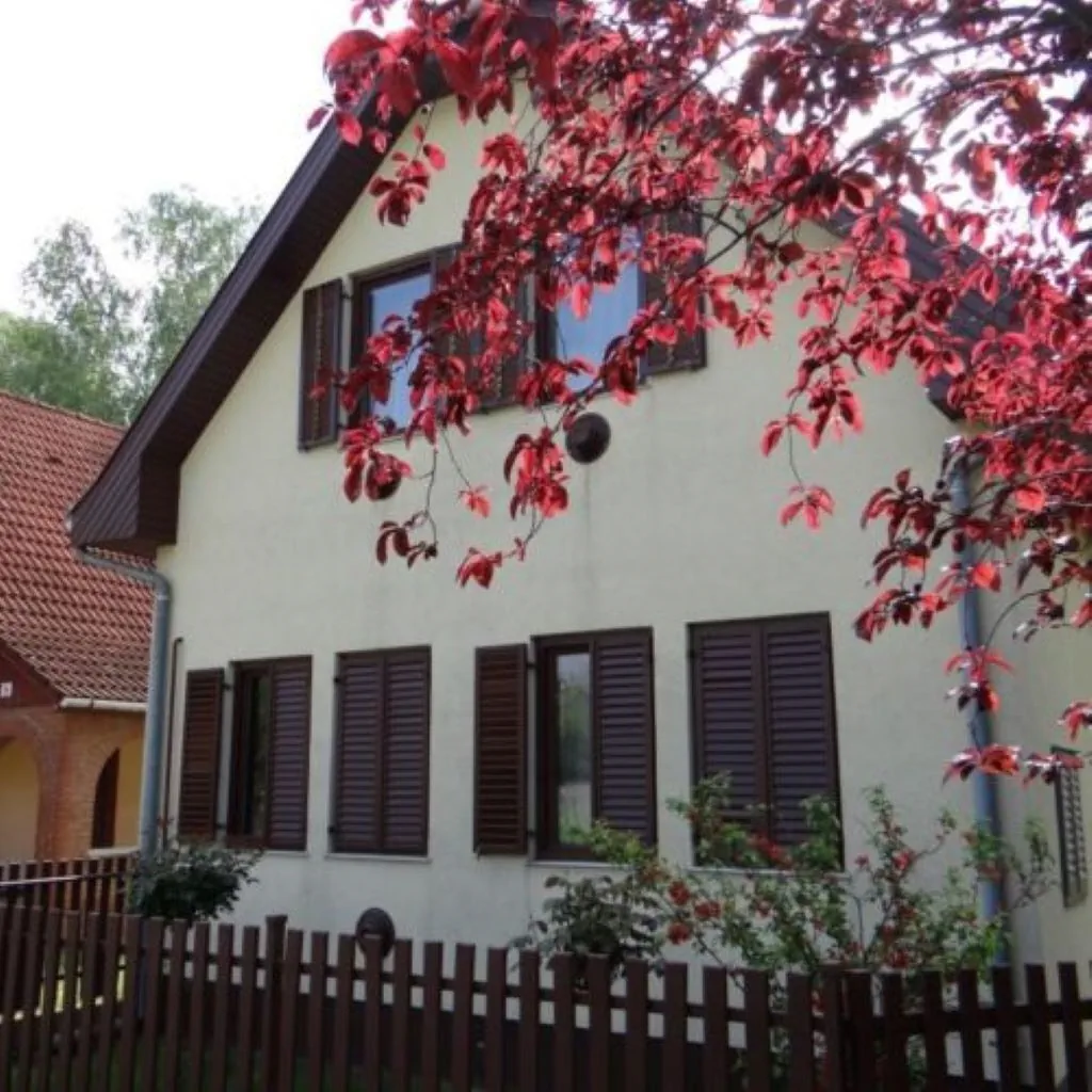 Csillag 15 Apartman Kiskunmajsa - foto 1