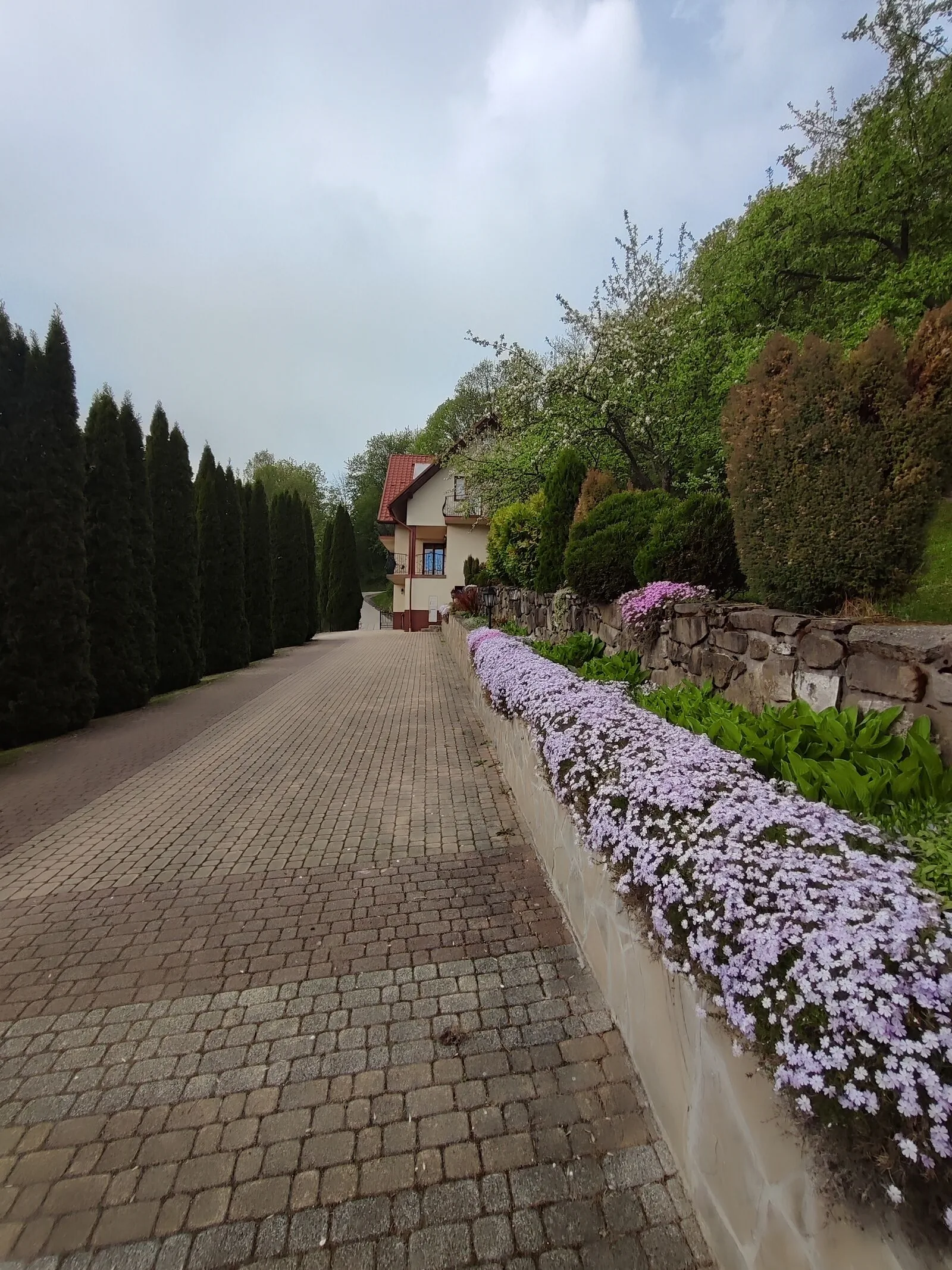 Apartamenty pod Kosarkami Szczawnica – Szczawnica, Polonia