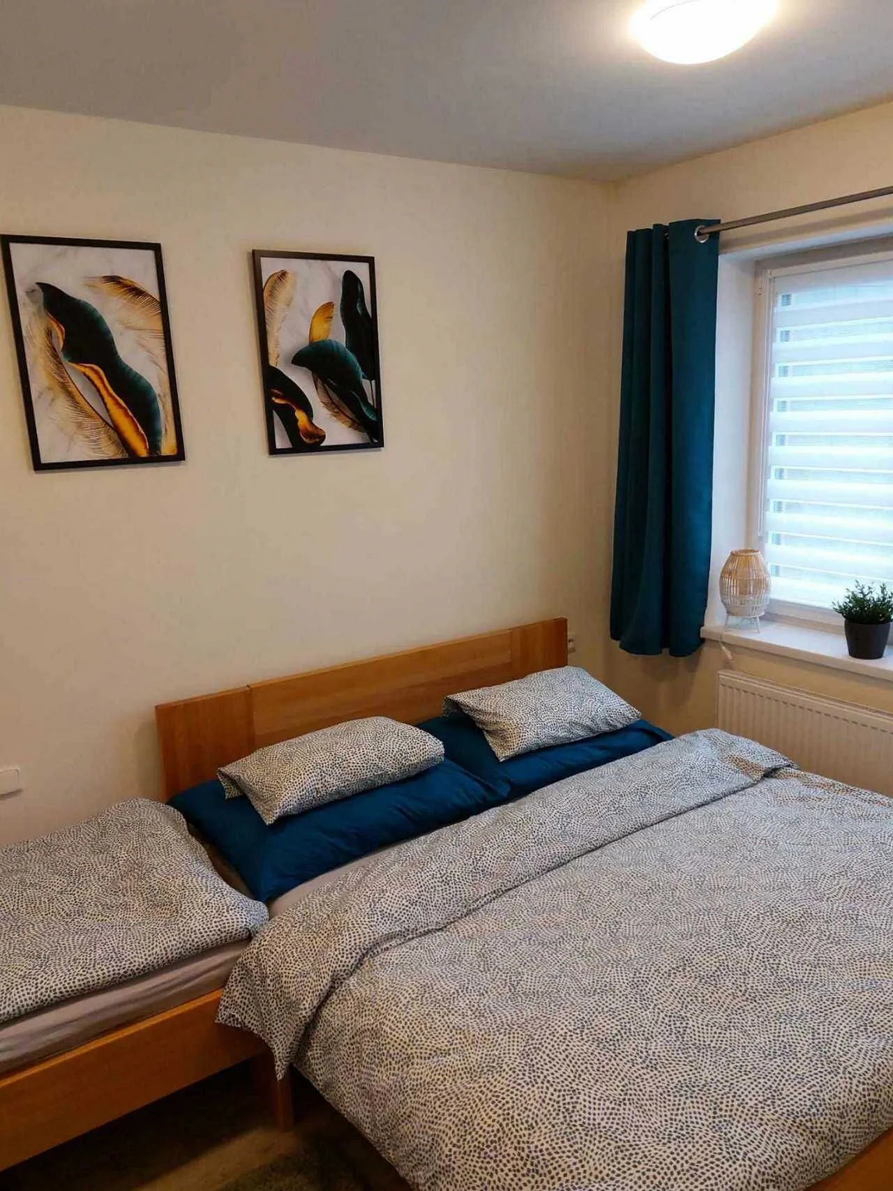 Apartmán Pod Bukem Červená Voda - foto 8