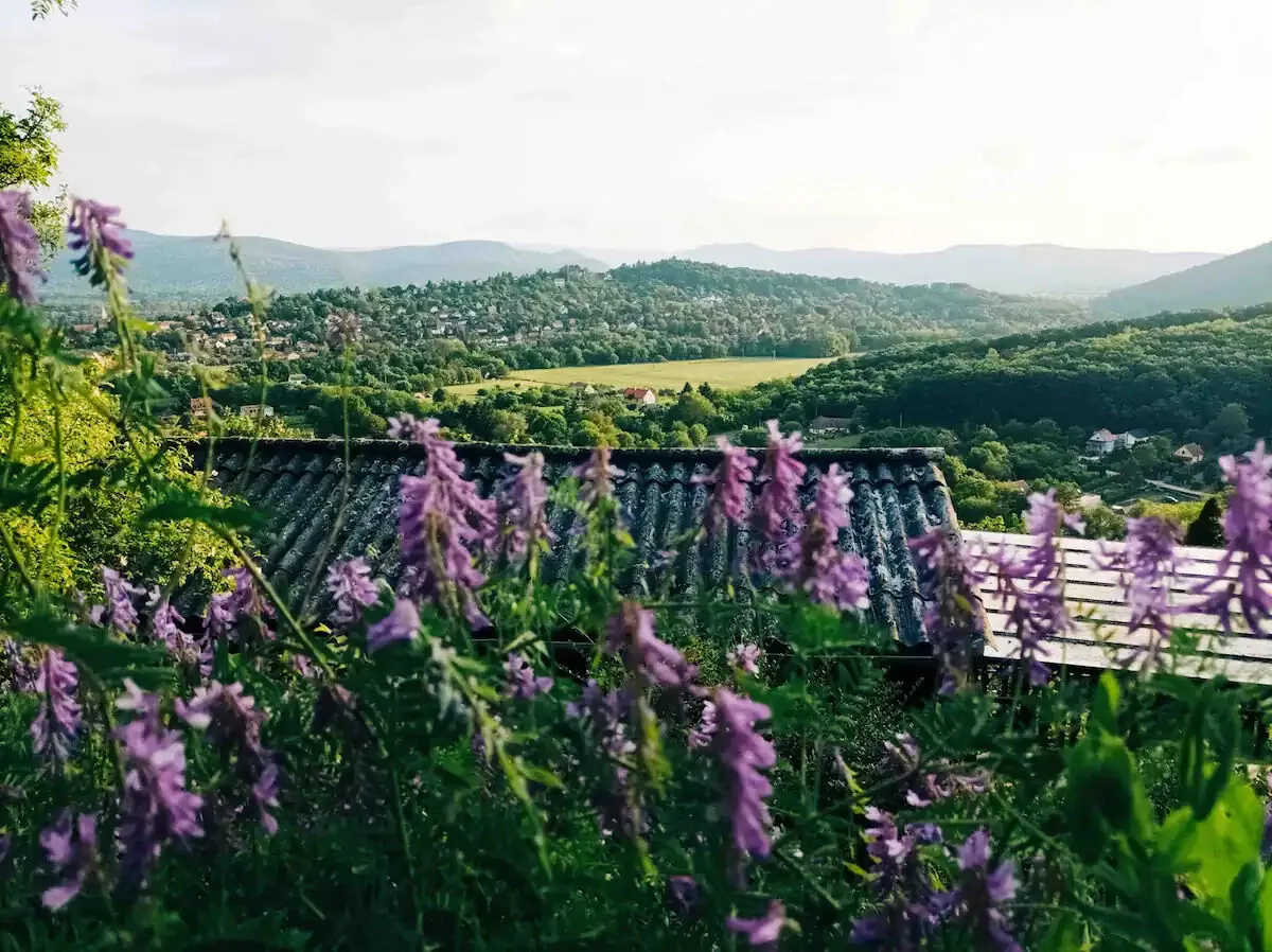 Felhőfészek Vendégház Verőce - foto 5