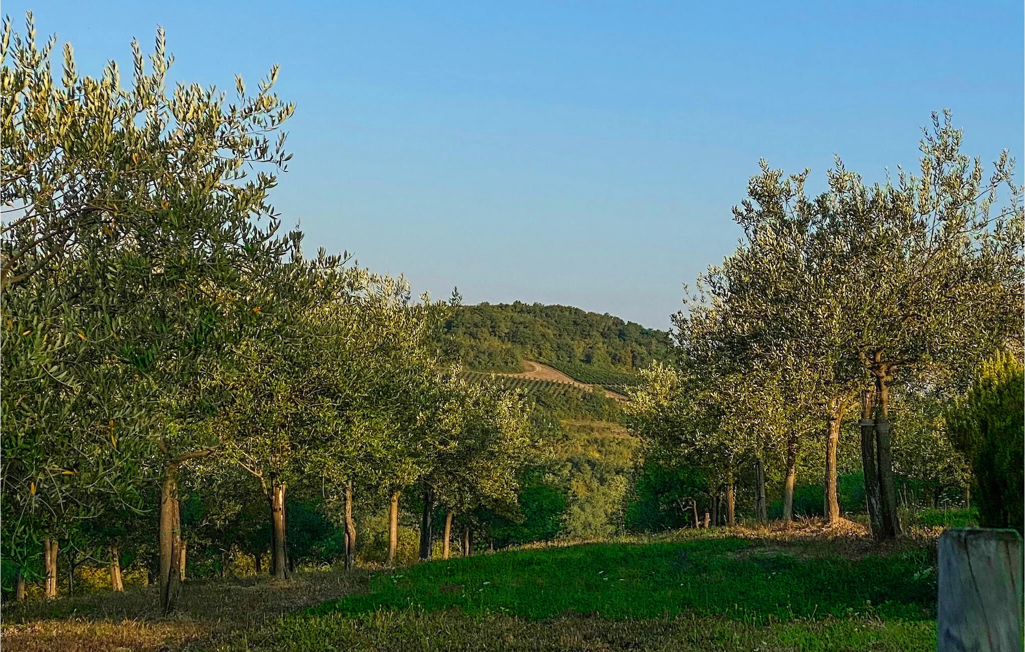 Vendégház Motovun - CLS316 – Motovun, Croația