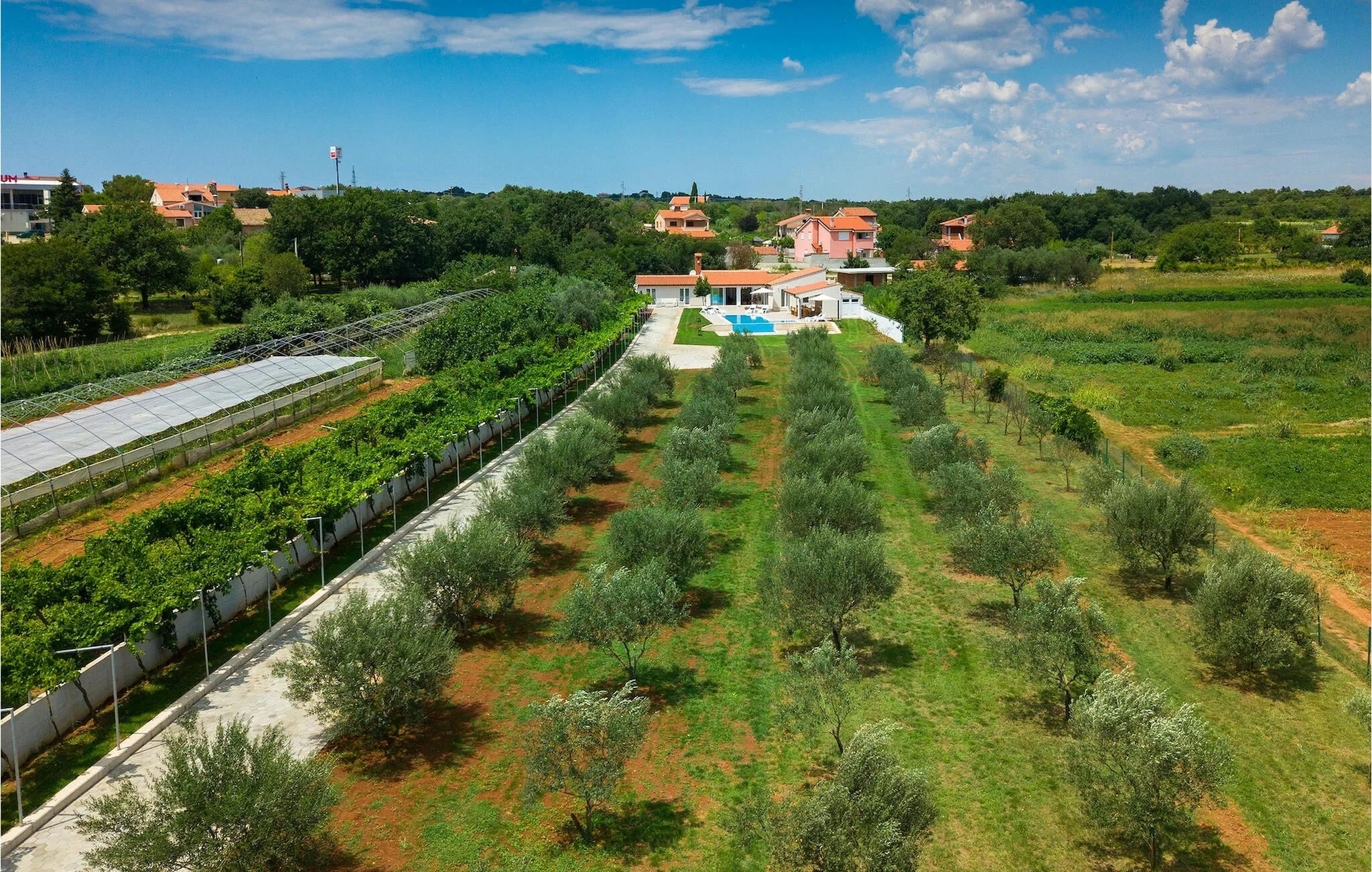Vendégház Pula - CLI807 - foto 7