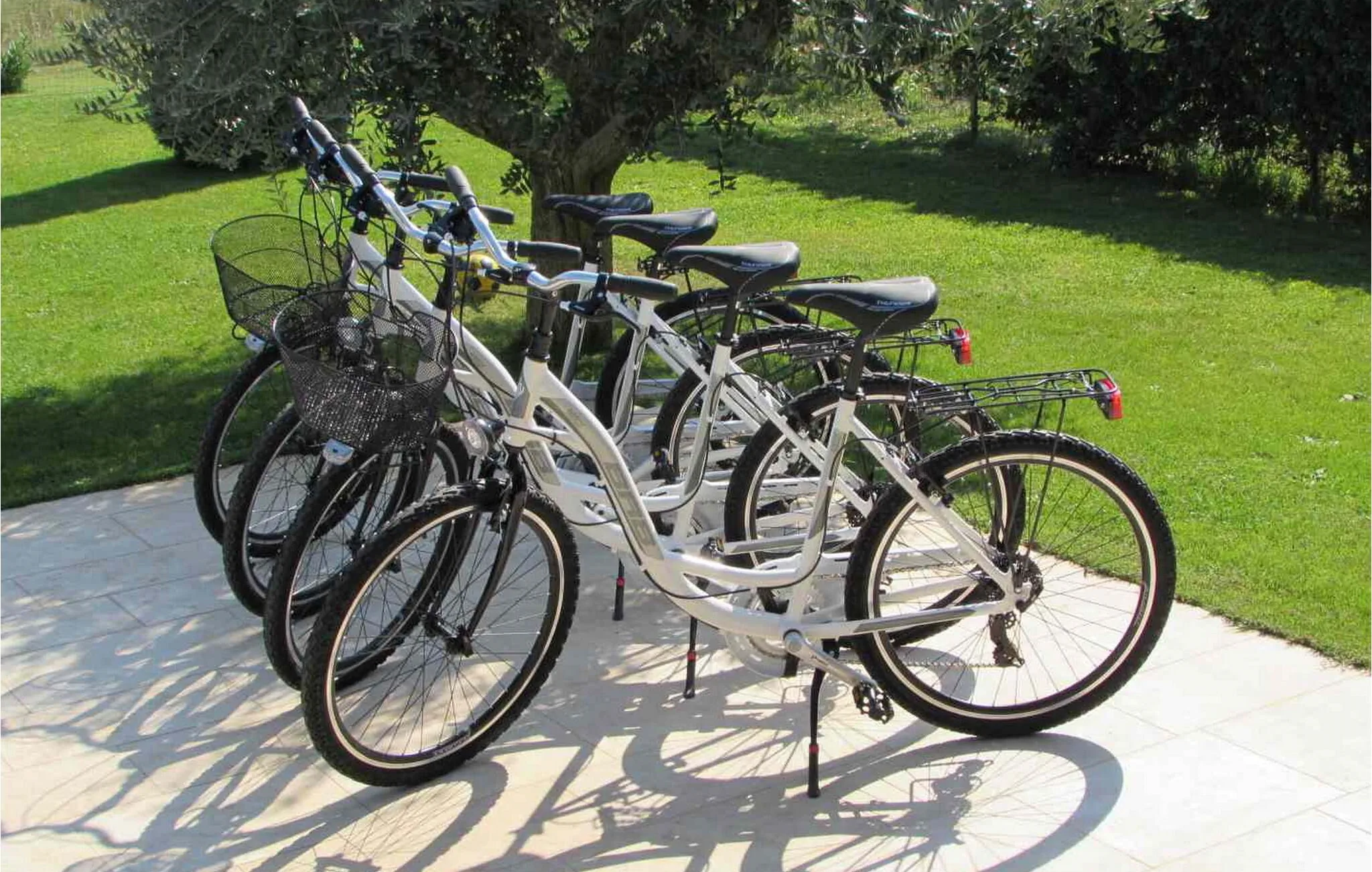 Vendégház Fažana - CLS936 – Fažana, Croația