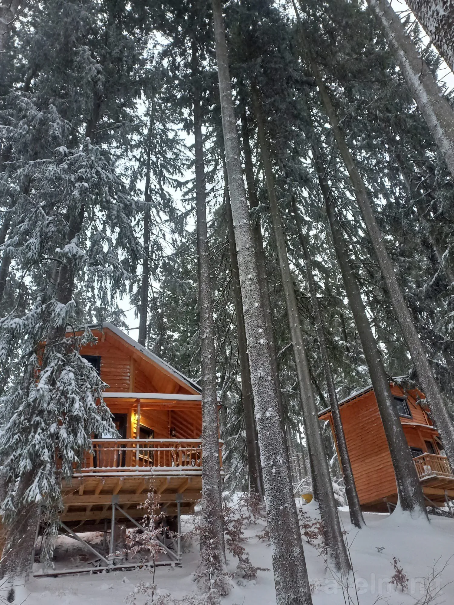 Cabana Hay Huy Camp Bușteni – Buşteni, România
