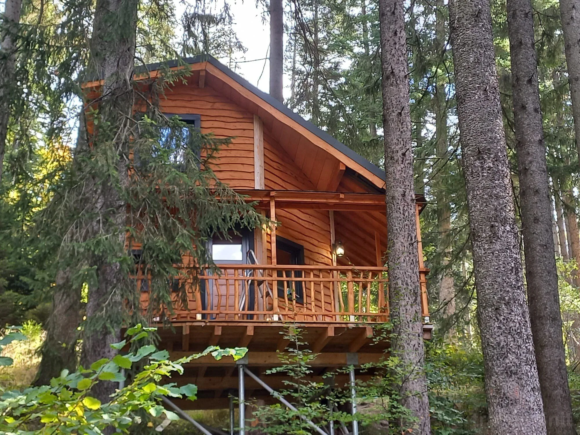Cabana Hay Huy Camp Bușteni – Buşteni, România