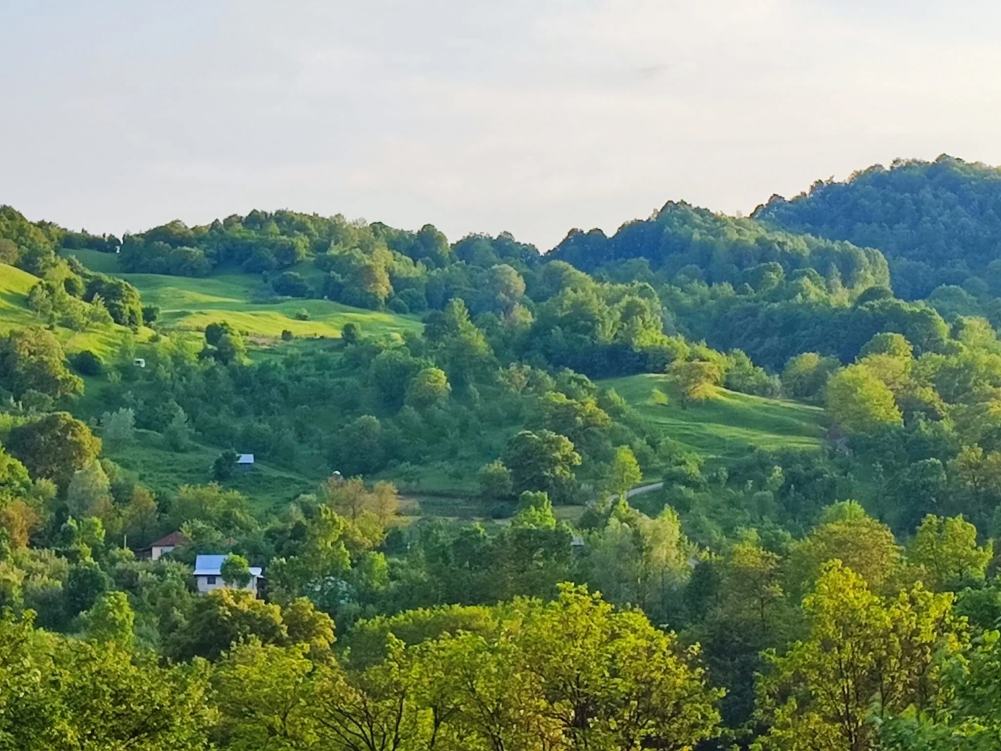 La sat - Radu Dragu Bertea – Bertea, România