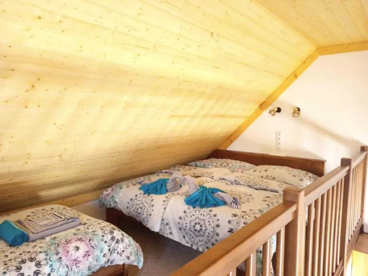 Apartmány U Kameníka Lužnice - foto 10
