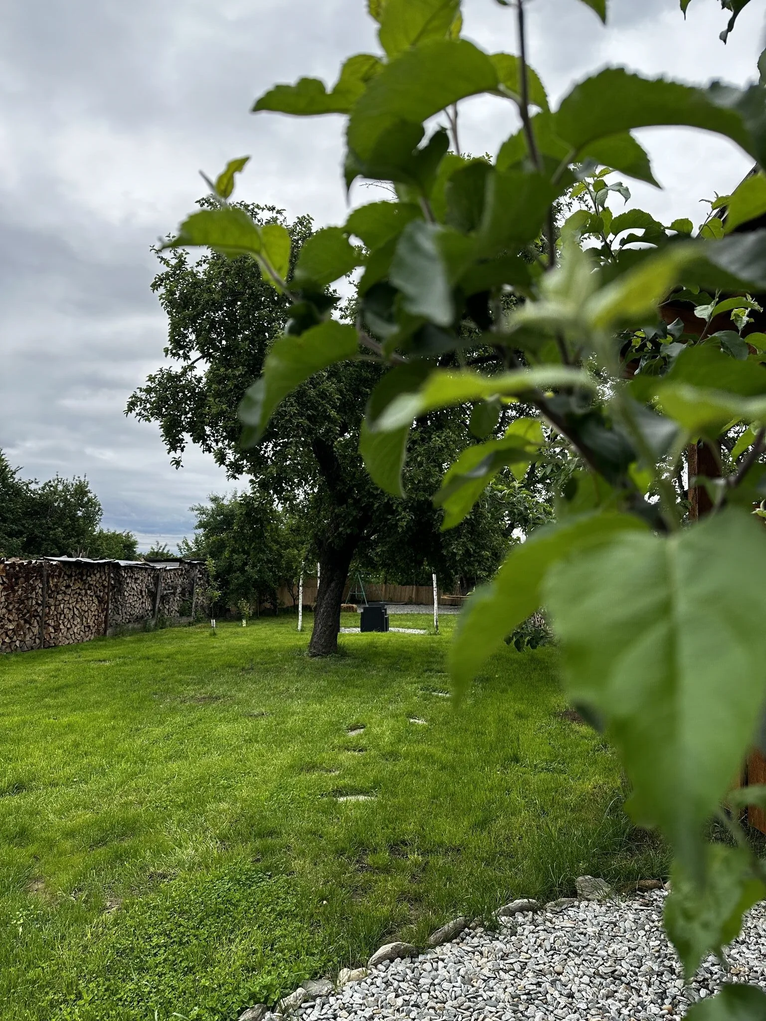 Pensiunea Belleview Porumbacu de Sus – Porumbacu de Sus, România