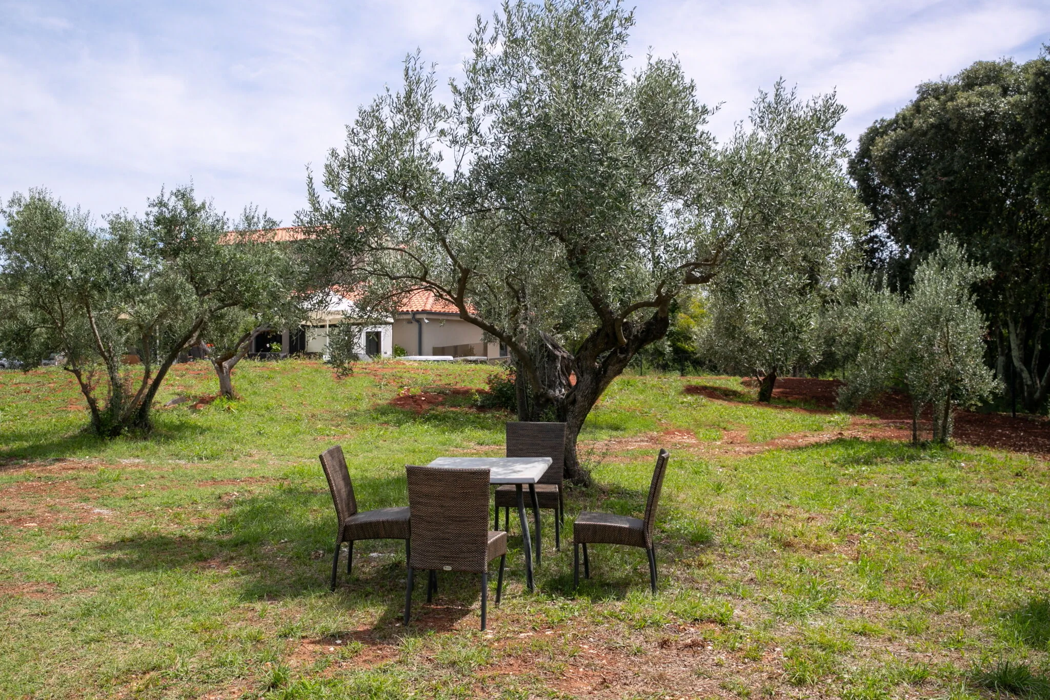 Villa Olive Garden Paradise Rovinj – Rovinj, Croația
