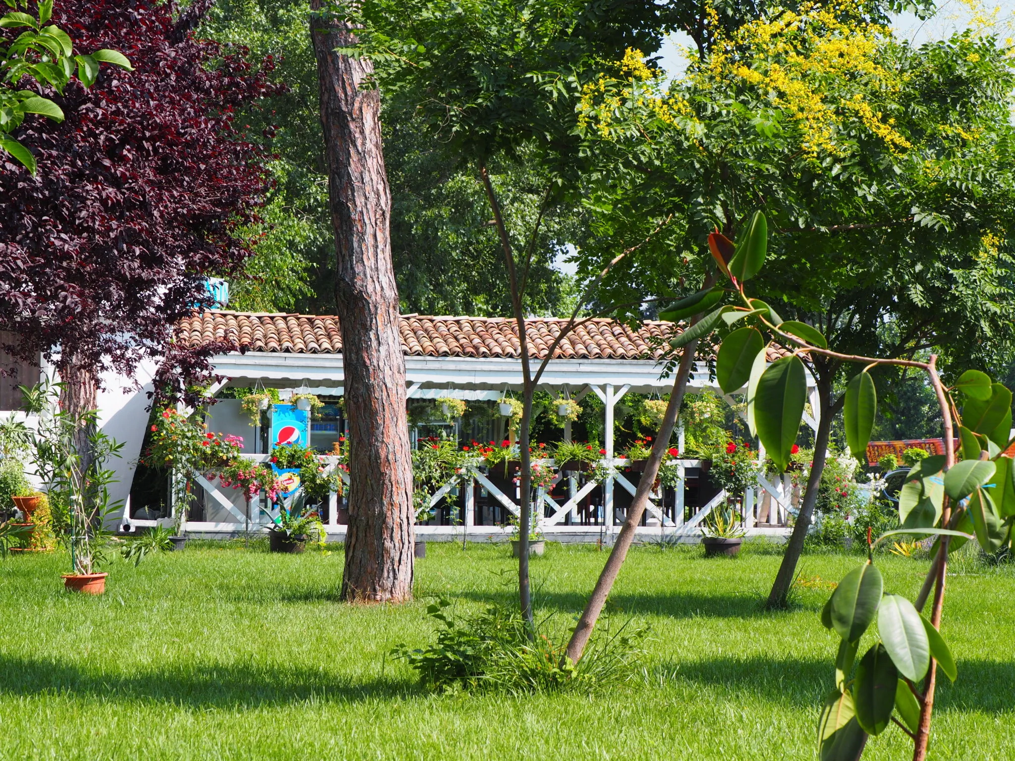 Hotel Minerva Eforie Nord – Eforie Nord, România
