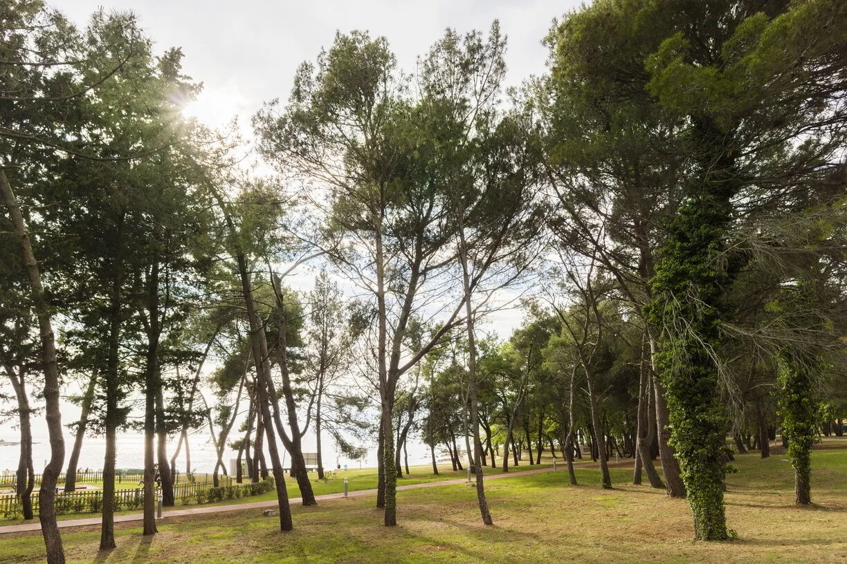 Apartments Stella Plava Laguna Umag – Umag, Croația