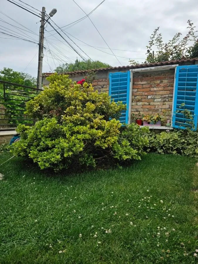 Casa Maia Eforie Sud - foto 9