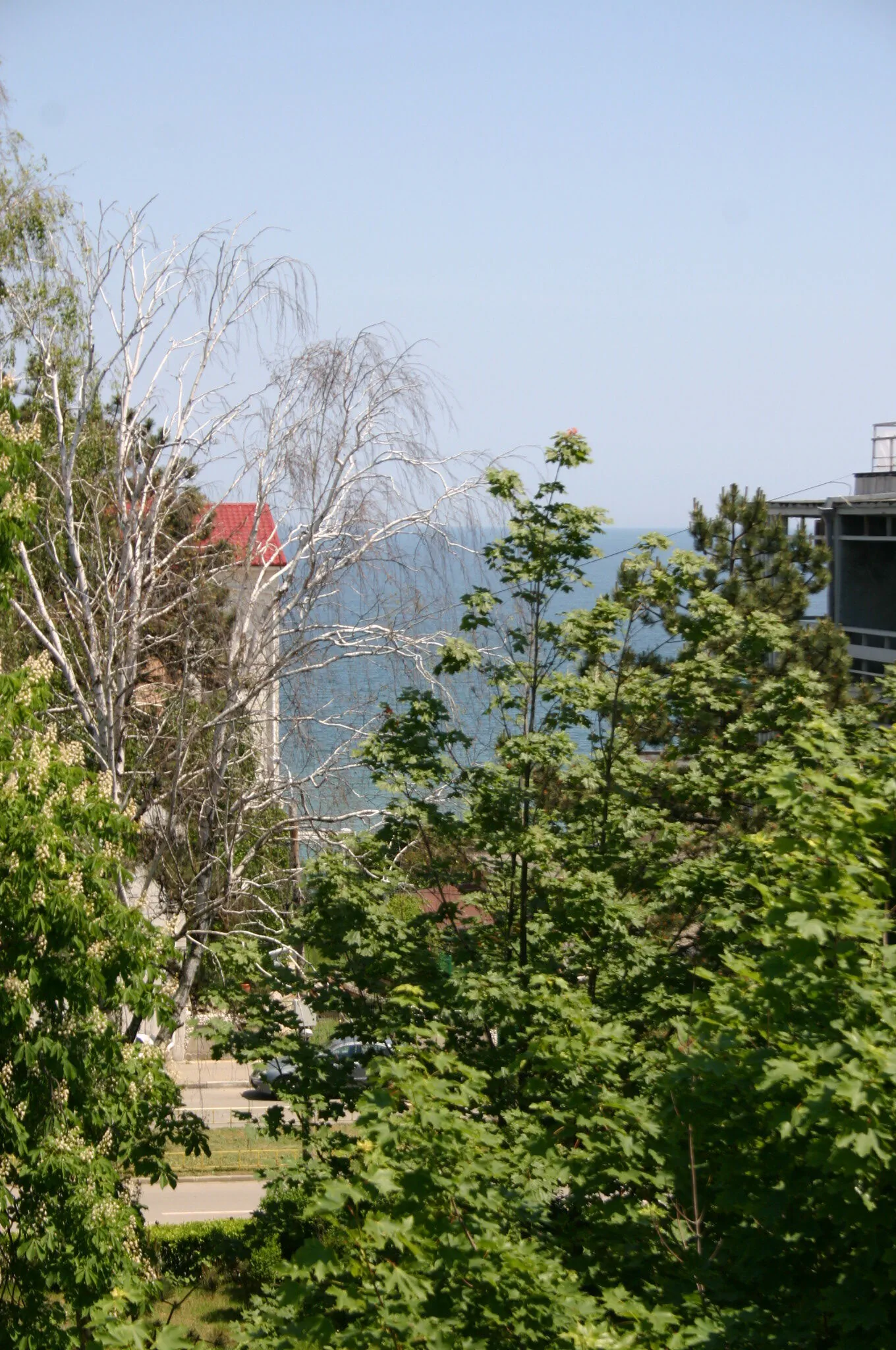 Hotel Regal Eforie Nord - foto 5