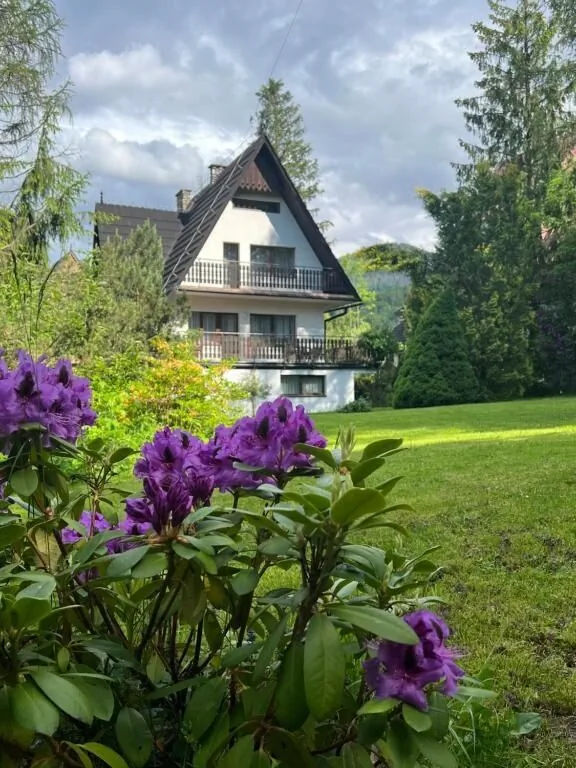 Willa Popielica Zakopane – Zakopane, Polska