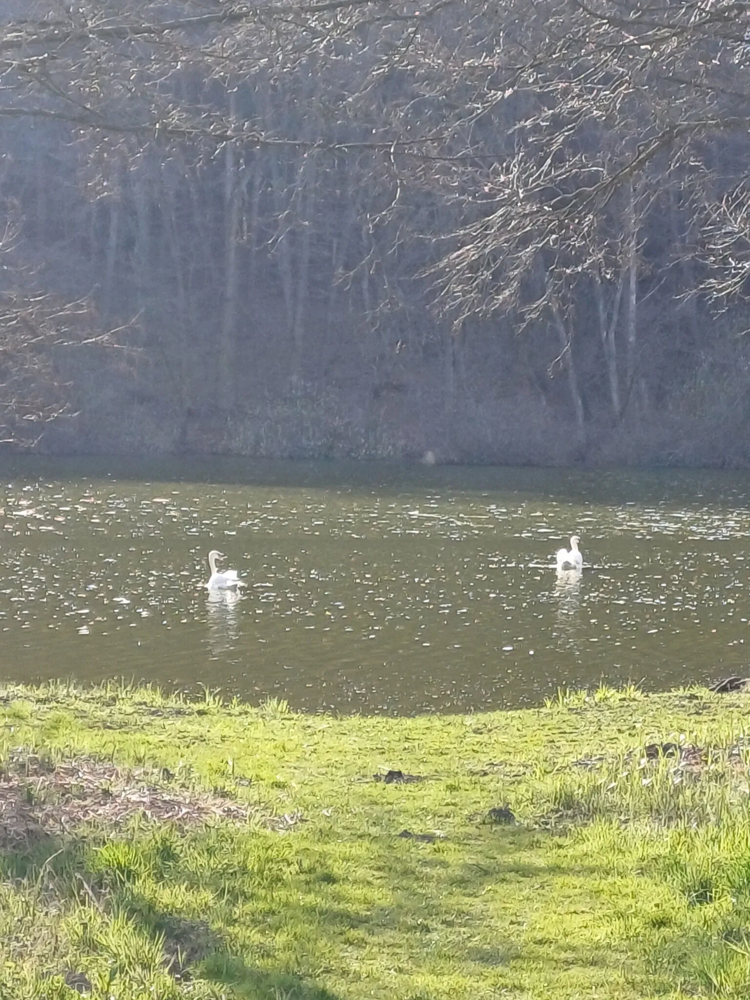 Akác Kuckò Hosszúpereszteg – Hosszúpereszteg, Ungaria