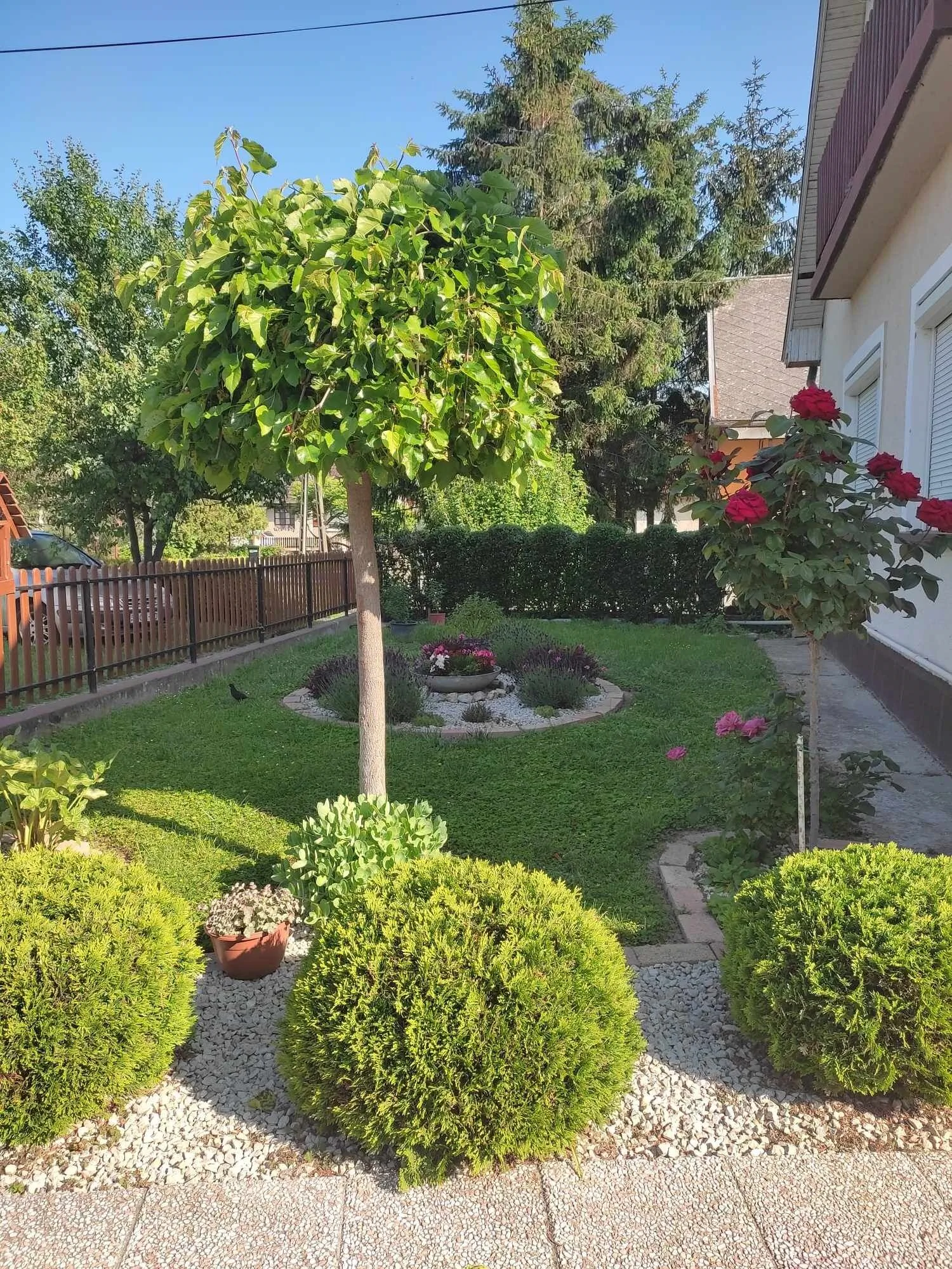 Fügefa Vendégház Ságvár – Ságvár, Ungaria