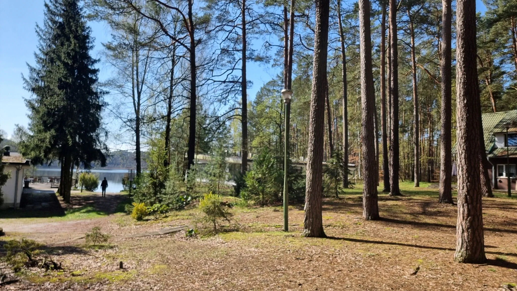 Ośrodek La La Las - domki letniskowe w lesie nad jeziorem - foto 10