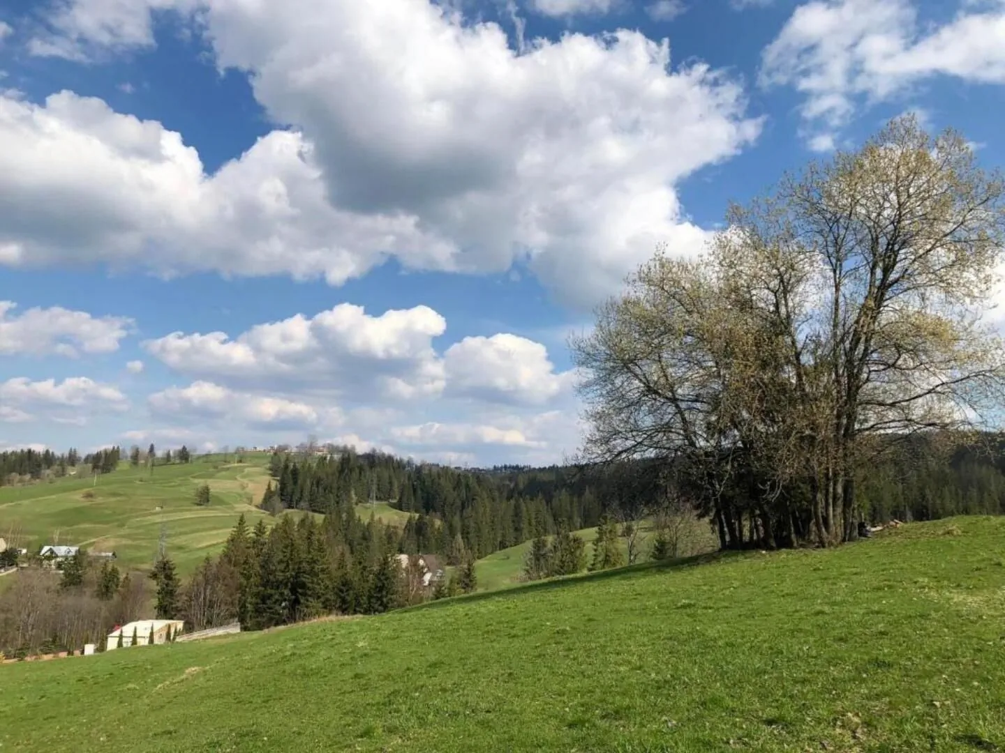 Bystre DOMKI Zakopane – Zakopane, Polska