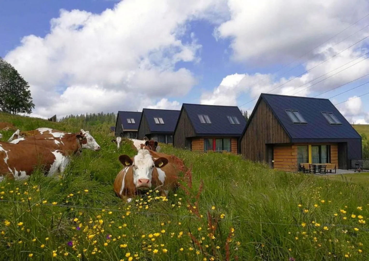 Bystre DOMKI Zakopane – Zakopane, Polska