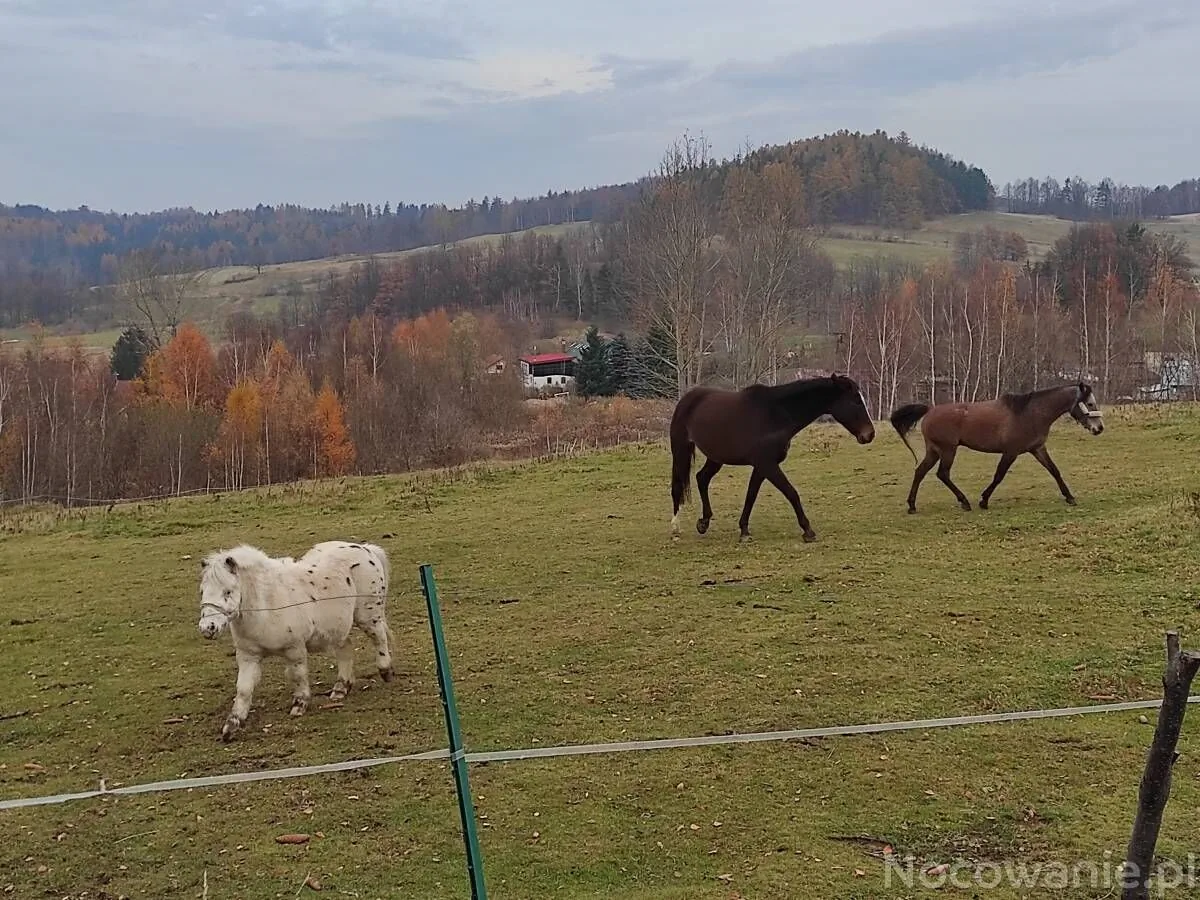 Śnieżna chatka Karpacz – Sosnówka, Polonia