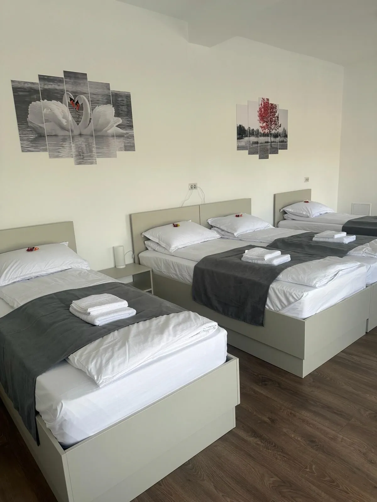 Hostel Adriana Touristik Arad - foto 1