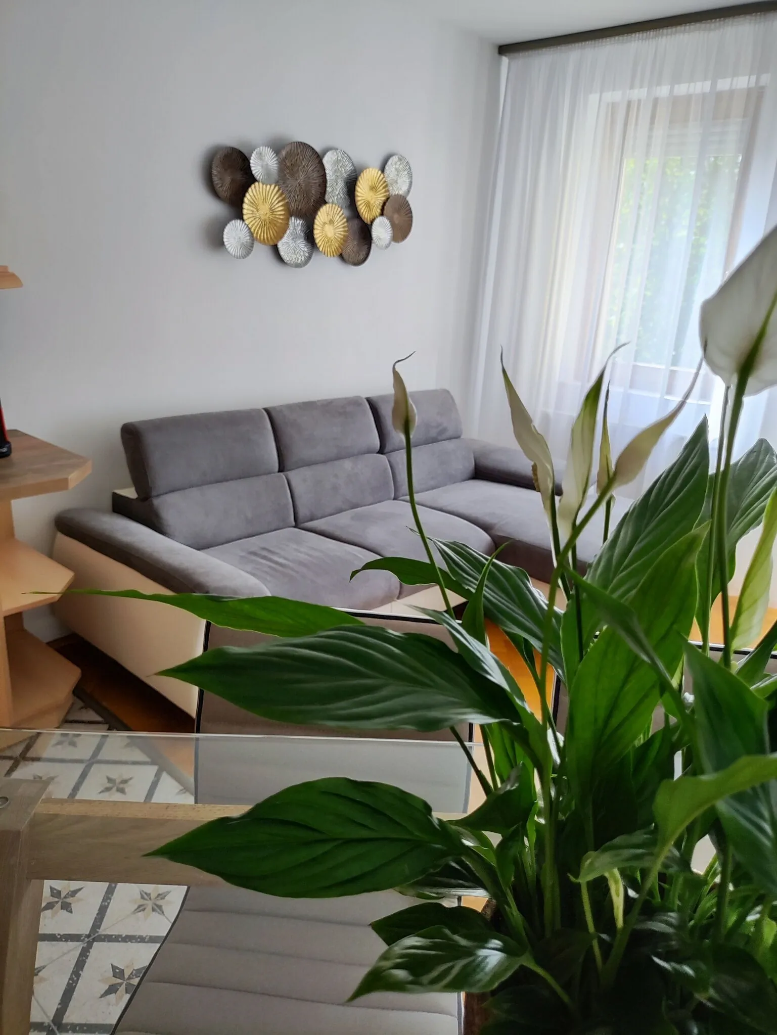Júlia Apartman Kaposvár - foto 7